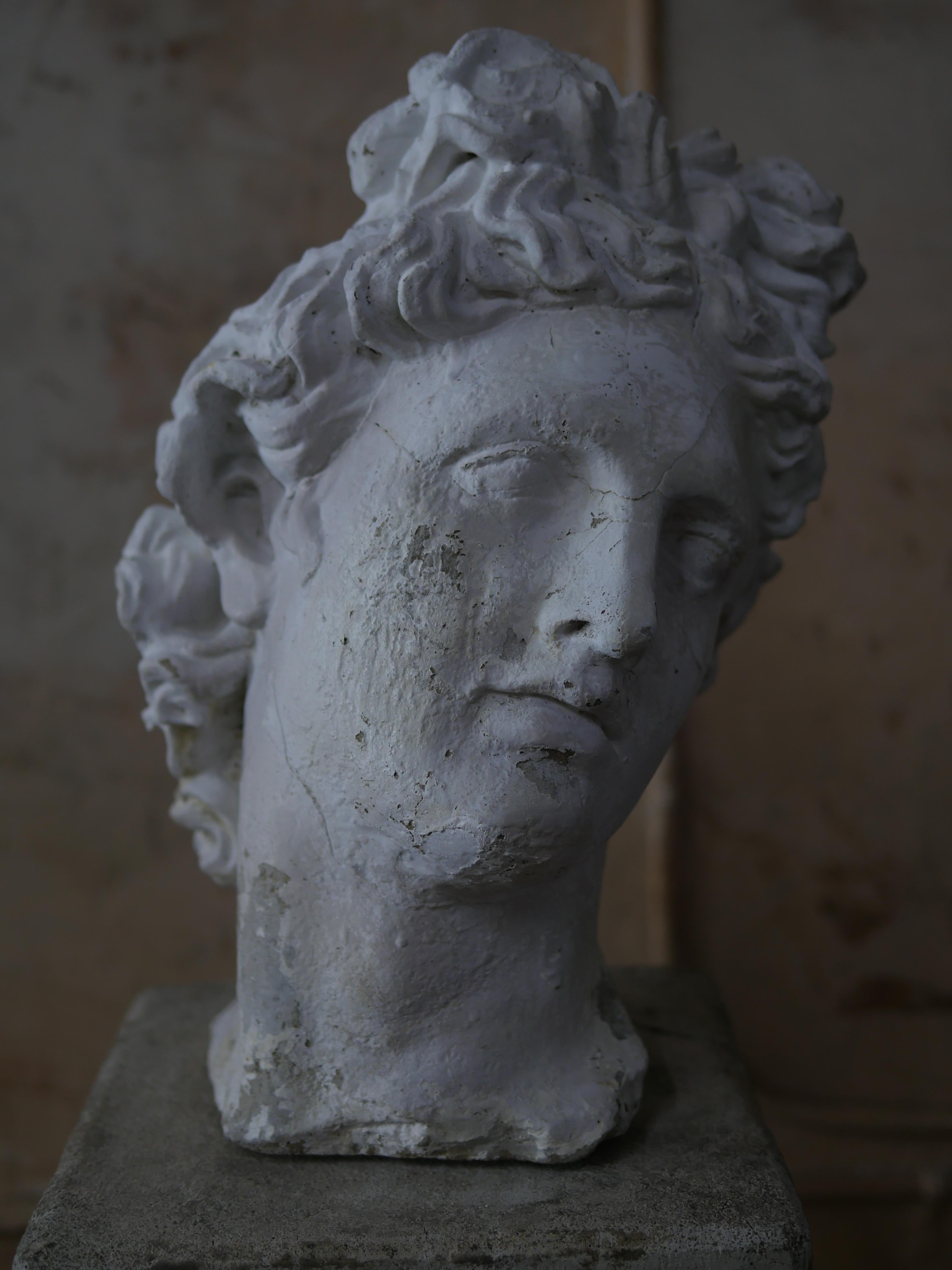 Mid-Century Cast Stone Bust of Apollo Belvedere  In Fair Condition In Miami, FL