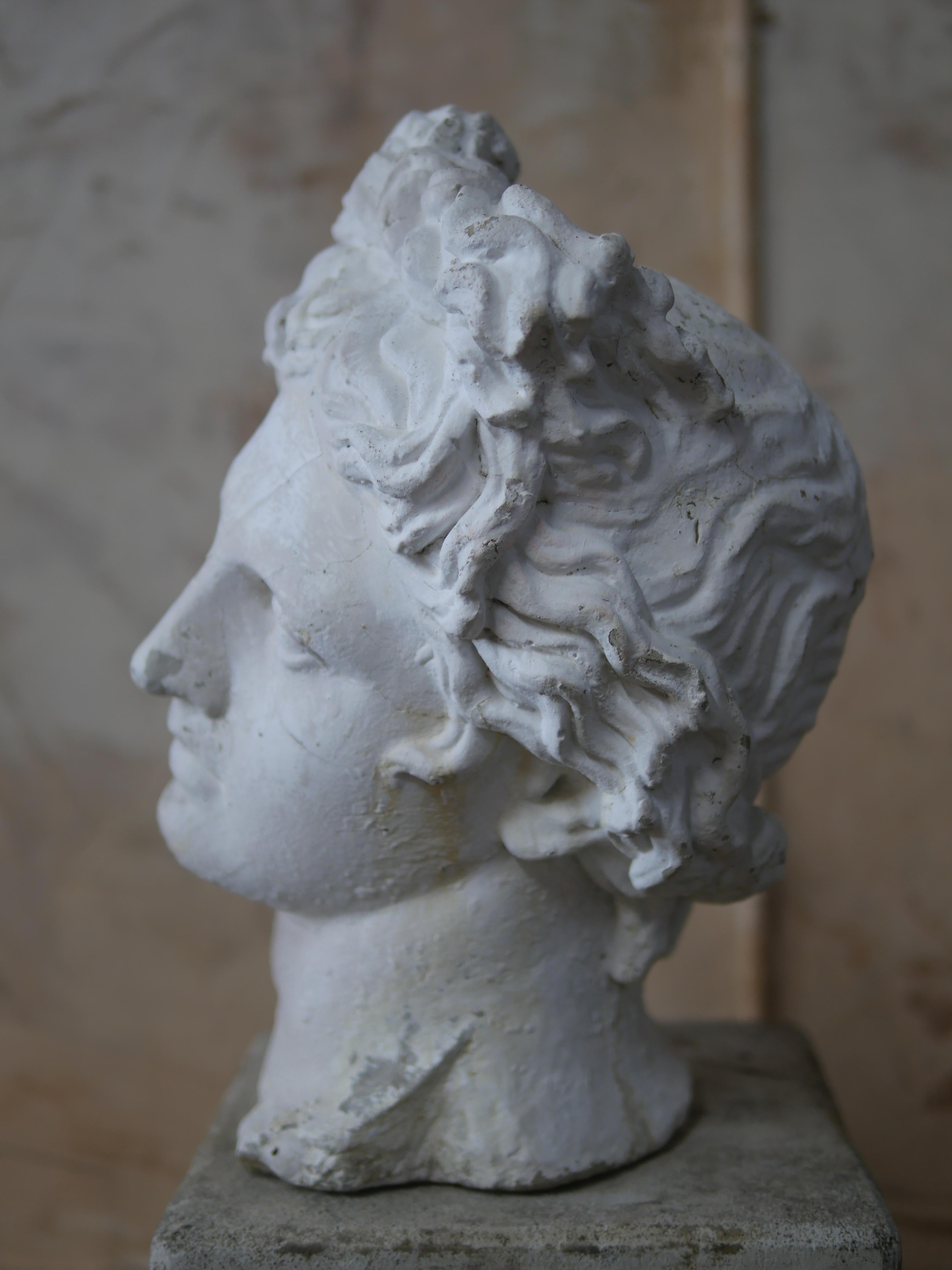 Late 20th Century Mid-Century Cast Stone Bust of Apollo Belvedere 