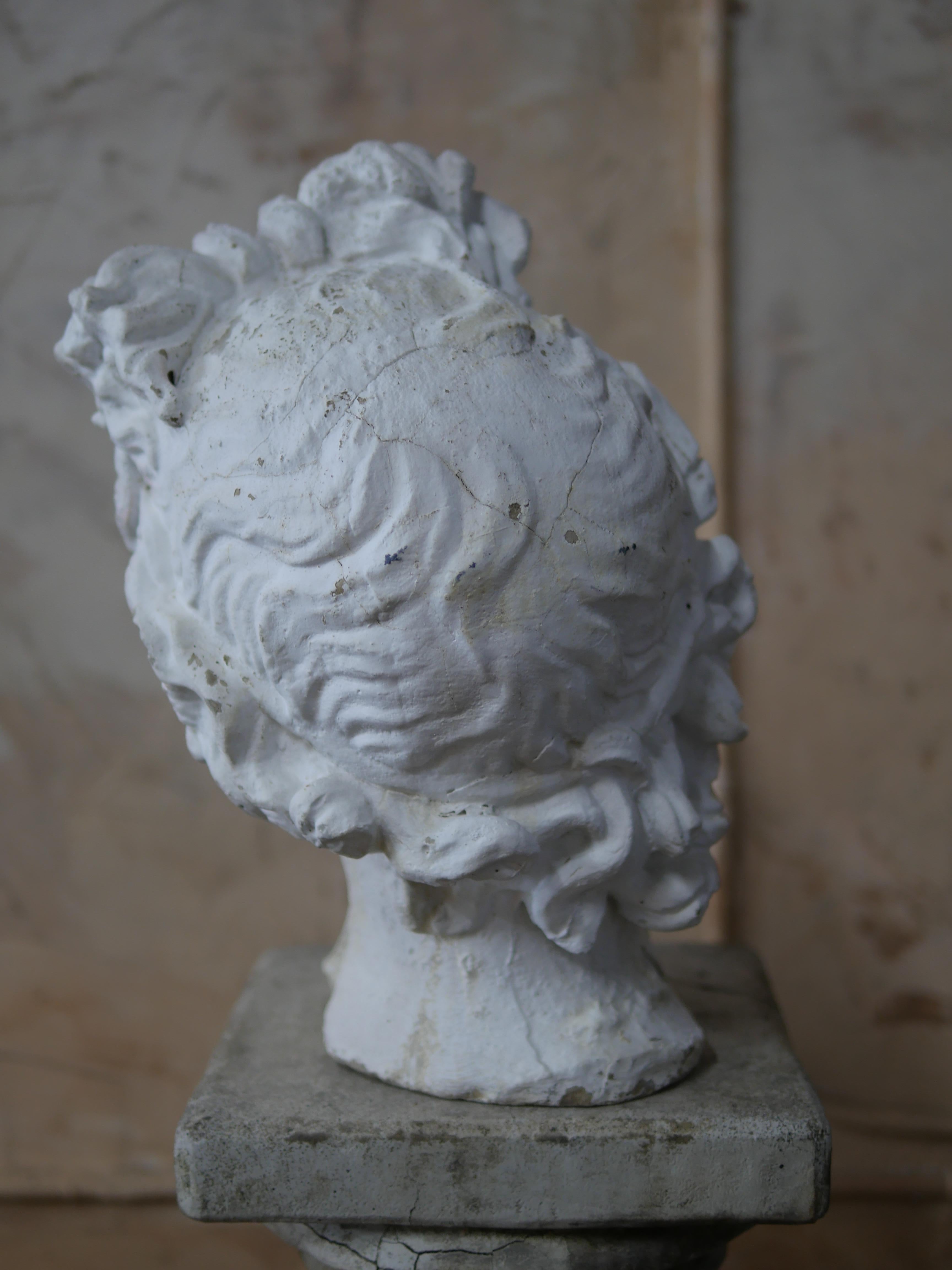Mid-Century Cast Stone Bust of Apollo Belvedere  2