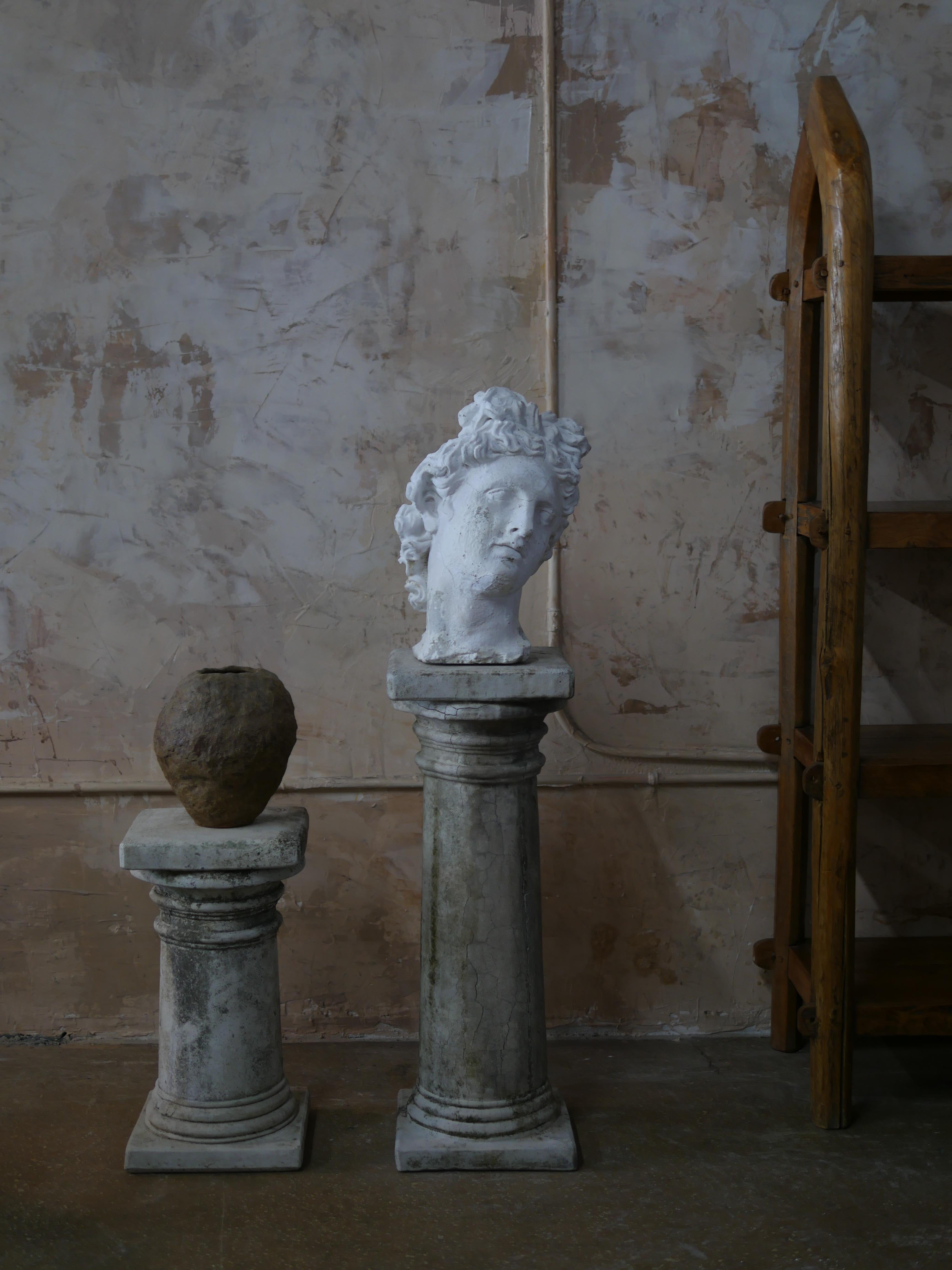 Mid-Century Cast Stone Bust of Apollo Belvedere  3