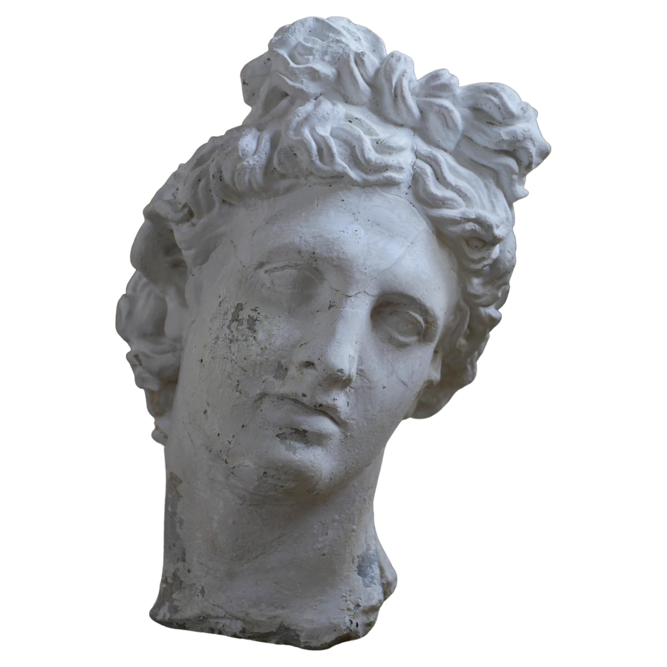 Mid-Century Cast Stone Bust of Apollo Belvedere 