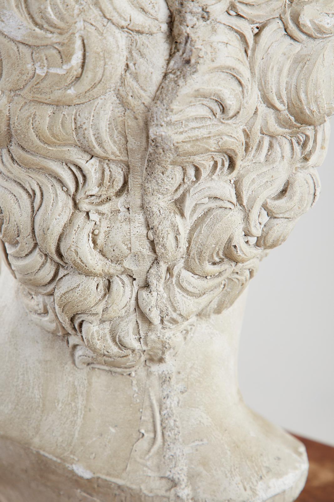 Cast Stone Bust of Michael Angelo's David 8