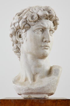 Cast Stone Bust of Michael Angelo's David