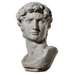 Cast Stone Bust of Michael Angelo's David