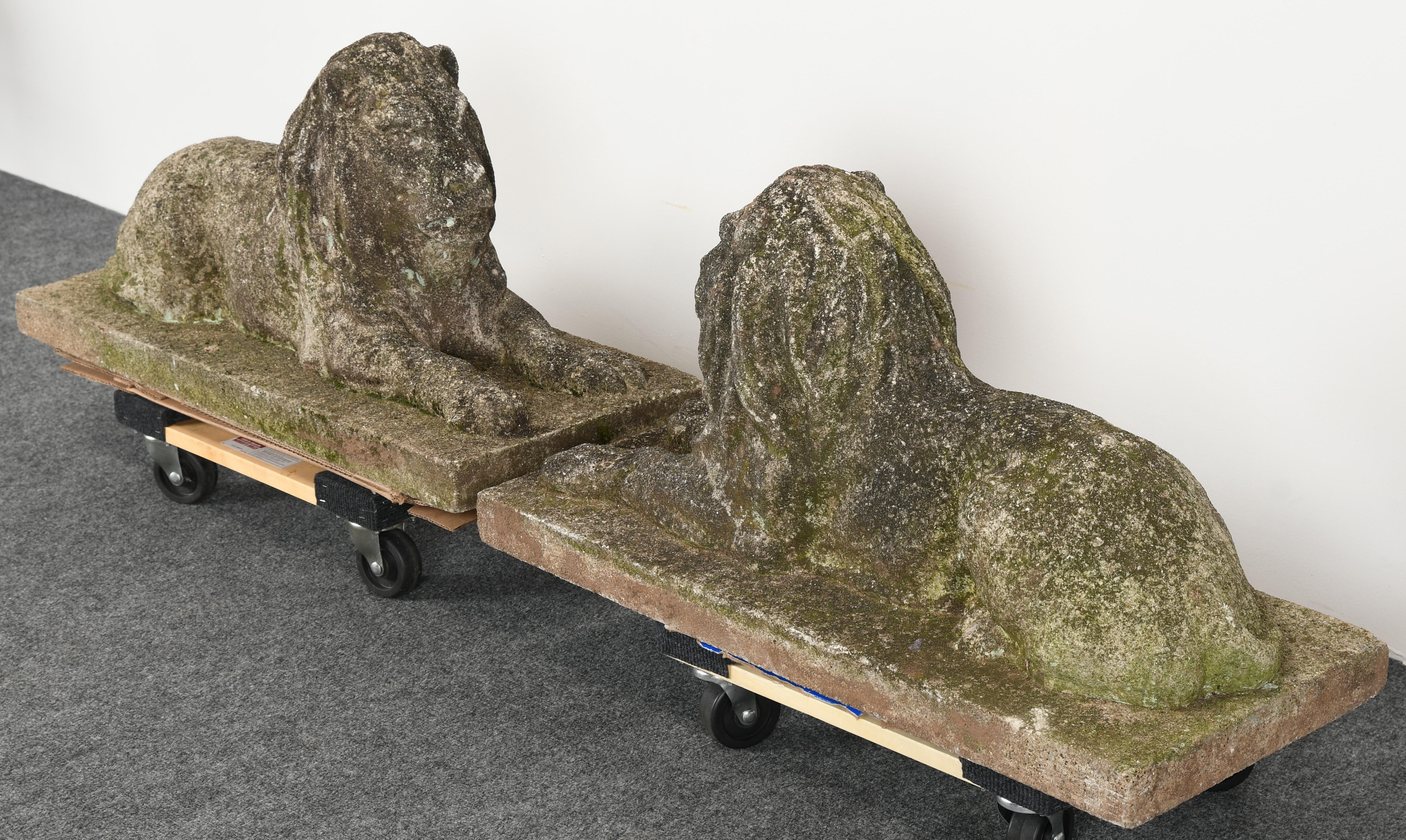 A stately pair of cast stone garden ornaments in the form of recumbent lions. The lions have beautiful lichen and moss growth. Each lion weighs 165 lbs. 

Dimensions: 15.5