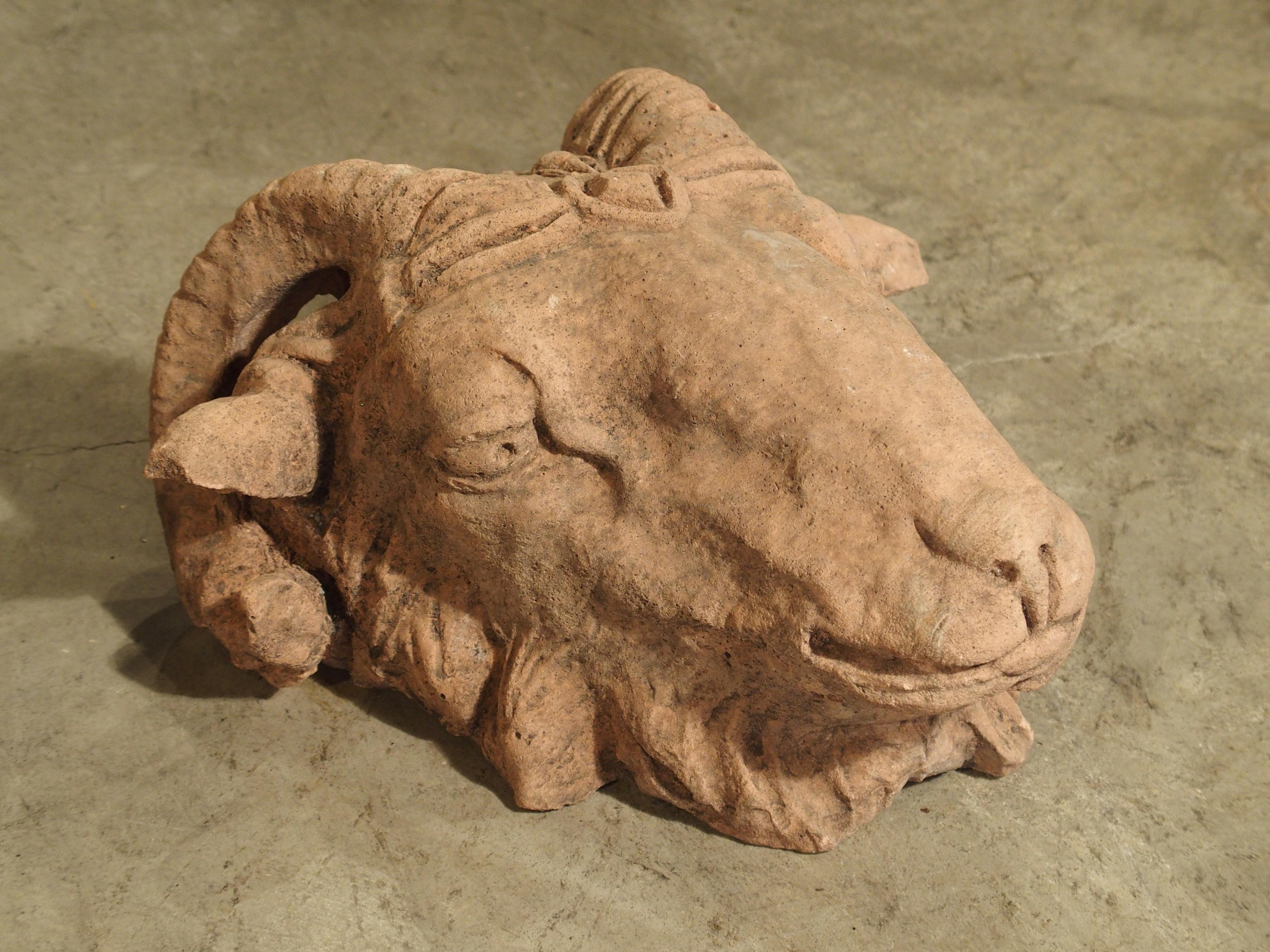 This beautifully cast French ram’s head is in a terracotta color. It is versatile in that it can be laid flat on any surface, or with an additional hook to the back, it can be hung or attached to a vertical surface. Its composition is colored mixed