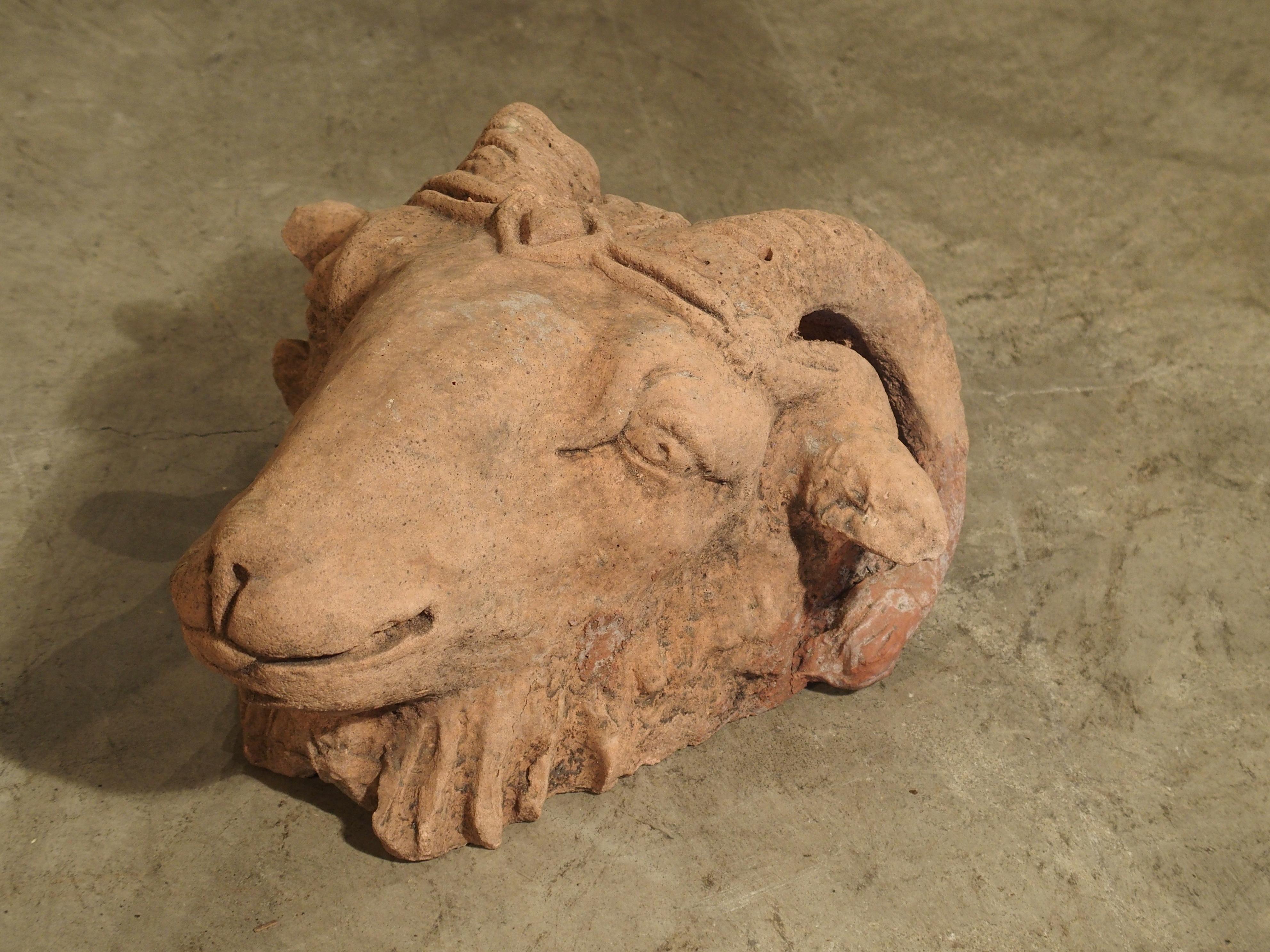 French Cast Terracotta Colored Decorative Rams Head from France