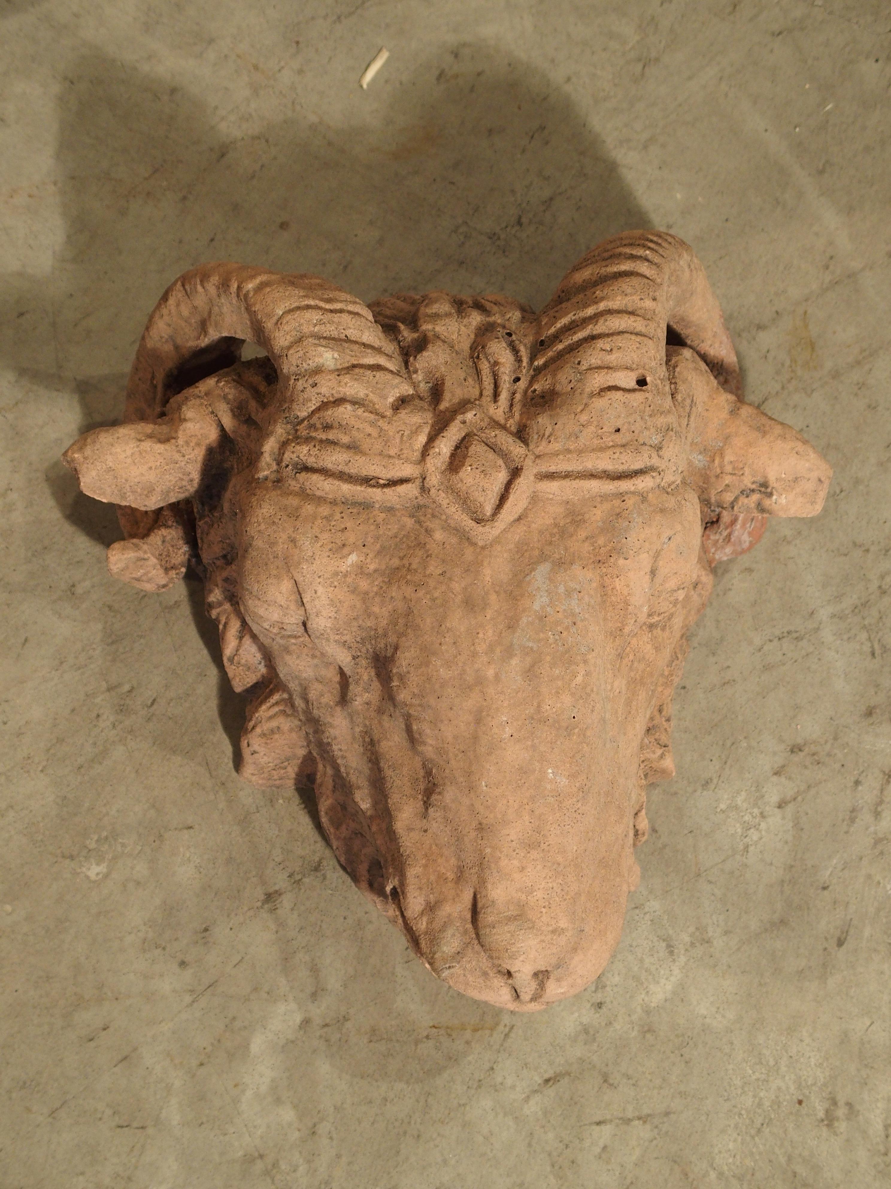Cast Terracotta Colored Decorative Rams Head from France 1