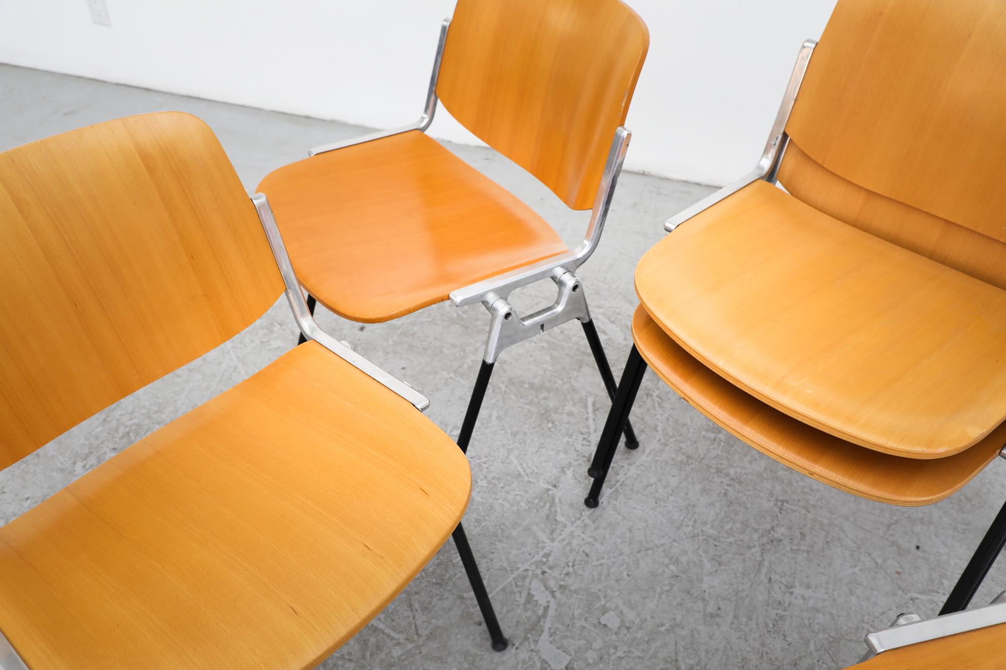 Castelli Birch DSC Stacking Chairs by Giancarlo Piretti 6