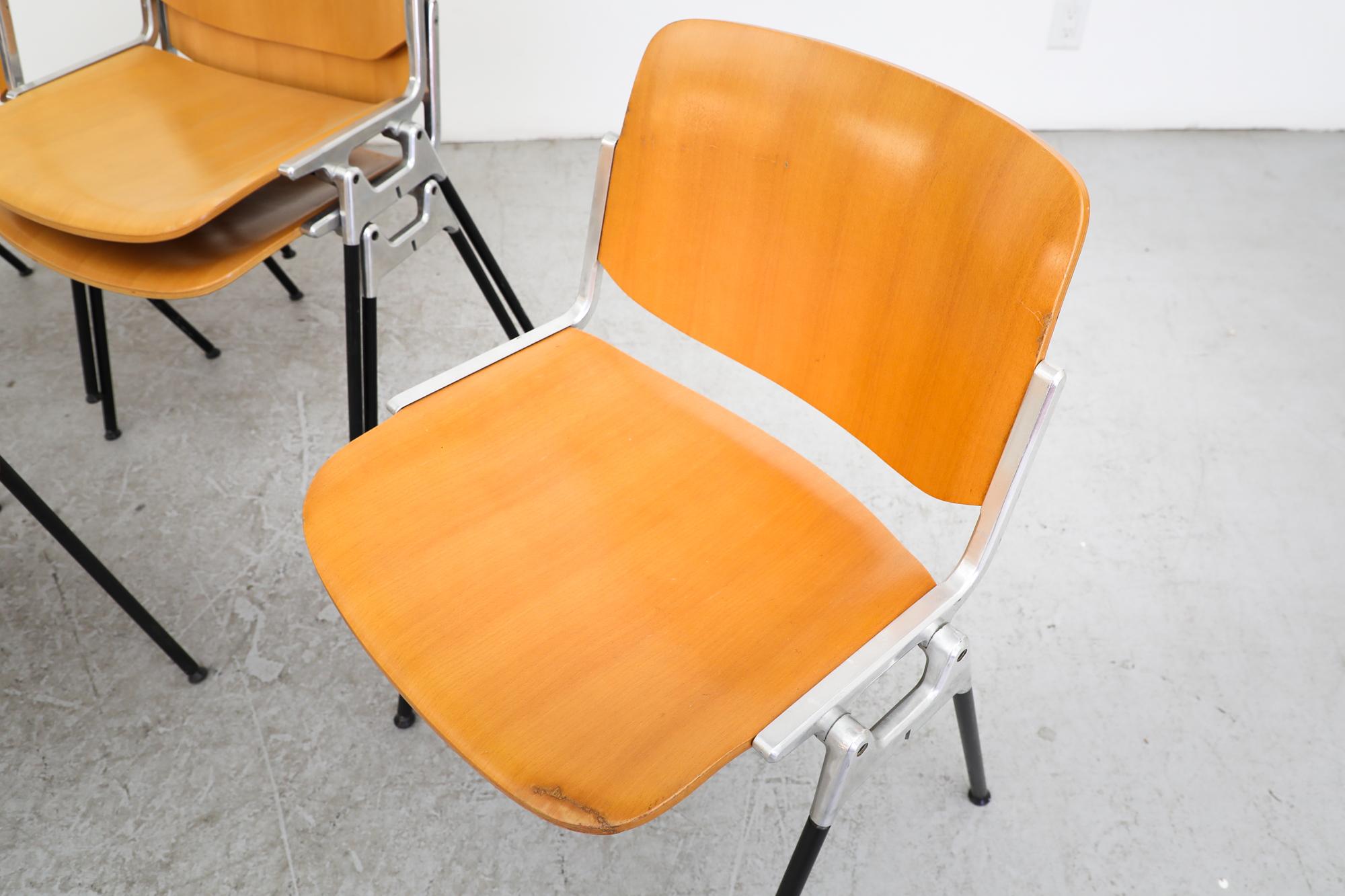 Castelli Birch DSC Stacking Chairs by Giancarlo Piretti 7