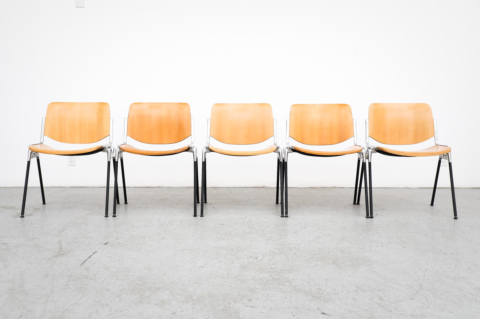 Light birch veneered Castelli chairs with cast aluminum frames and black sheathed legs and feet. Giancarlo Piretti's works are in several museums, including the MoMA in New York, and he has received numerous prizes. These are in original condition