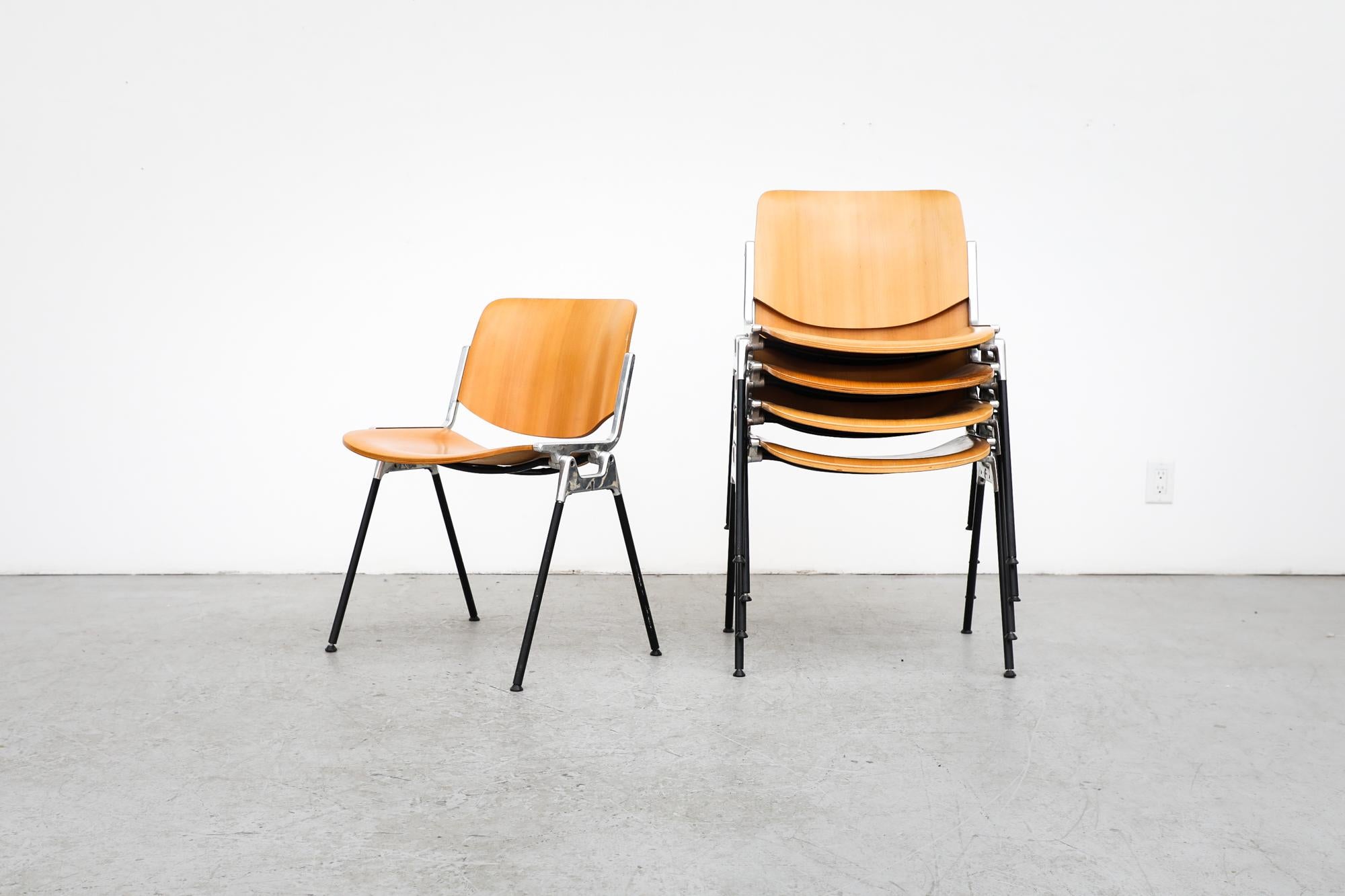 Mid-Century Modern Castelli Birch DSC Stacking Chairs by Giancarlo Piretti