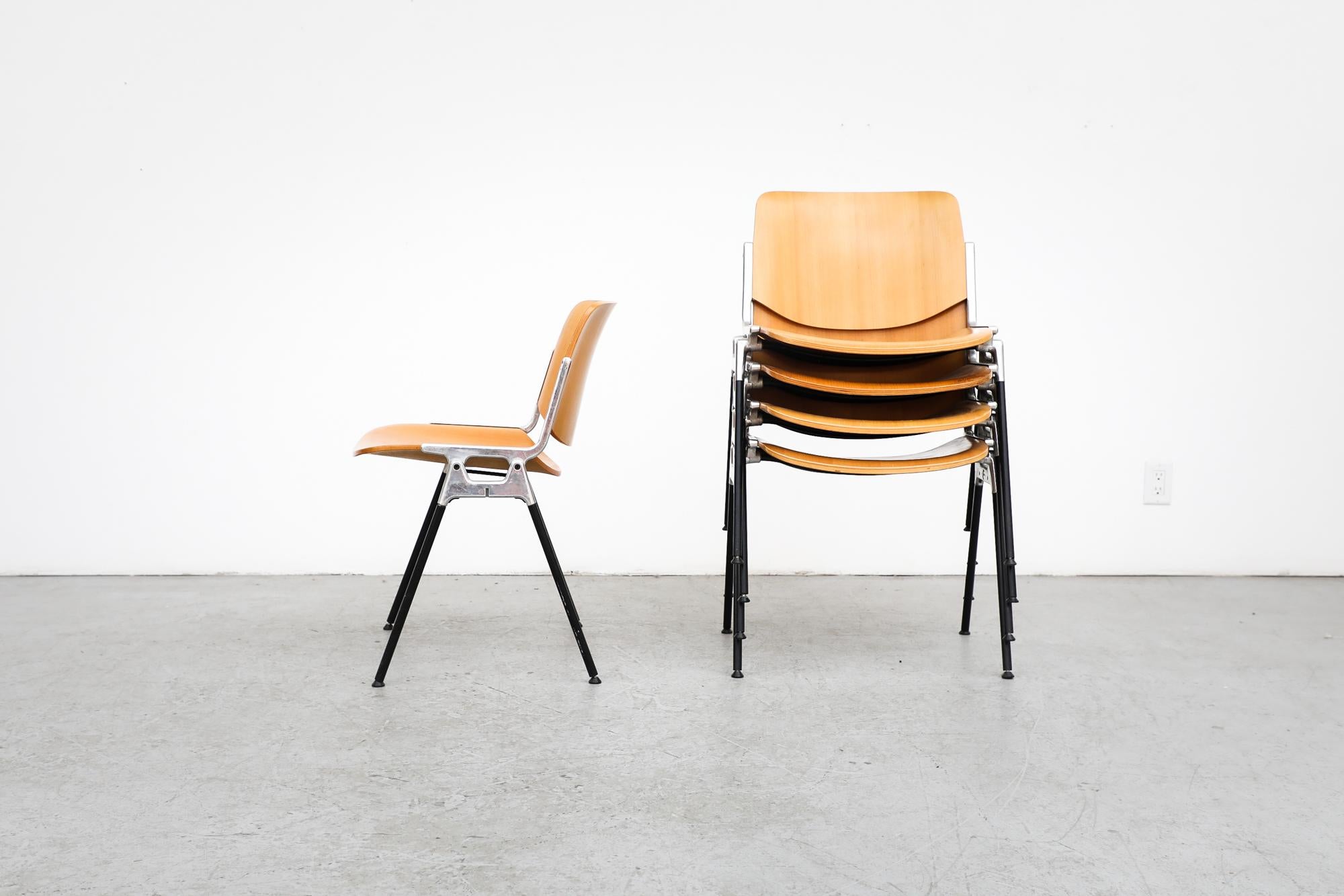 Italian Castelli Birch DSC Stacking Chairs by Giancarlo Piretti