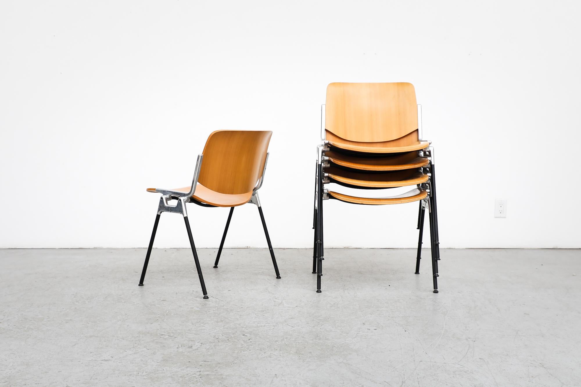 Castelli Birch DSC Stacking Chairs by Giancarlo Piretti In Good Condition In Los Angeles, CA