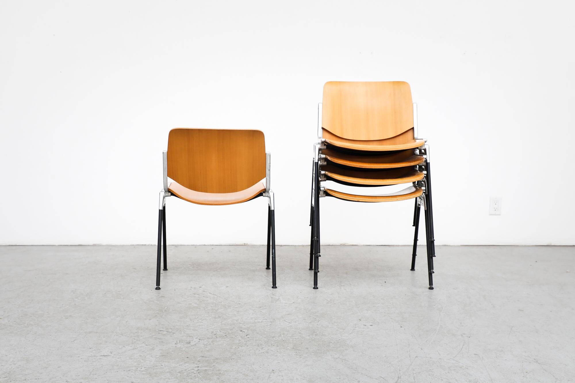 Mid-20th Century Castelli Birch DSC Stacking Chairs by Giancarlo Piretti