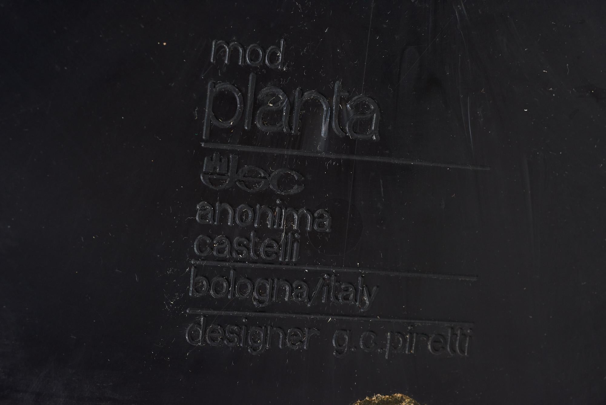 Plastique Porte-manteaux Castelli « Planta » de Giancarlo Piretti, 1972. en vente