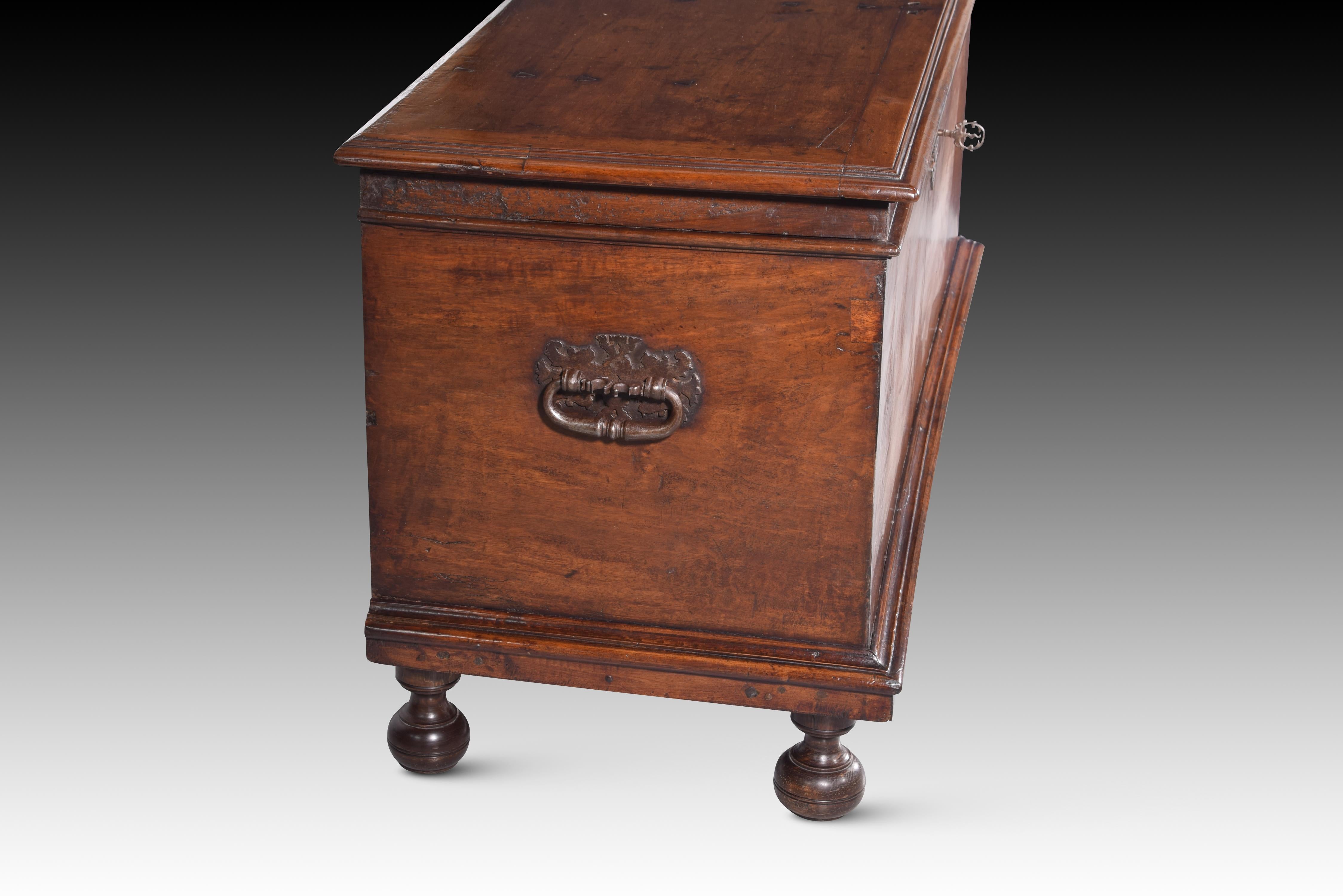 Castillian Chest, Walnut and Wrought and Polychromed Iron, Spain, 17th Century For Sale 3