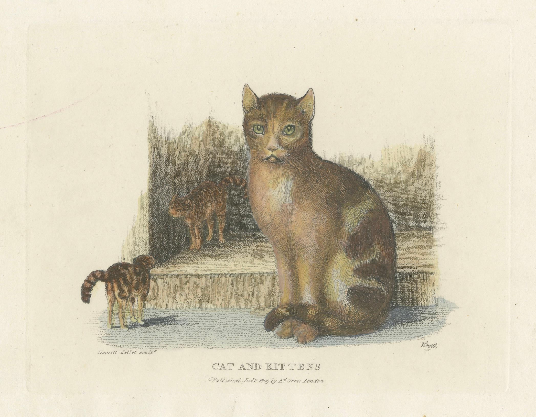 Early 19th Century Cat and Kittens, 1809 Hand-Colored Etching by Samuel Howitt For Sale