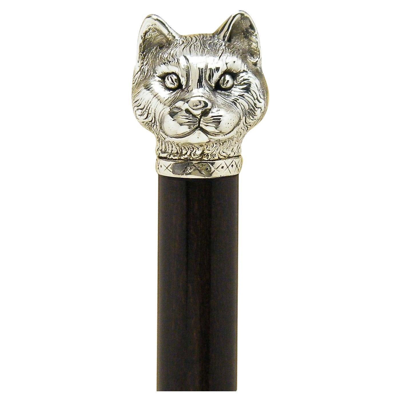 Cat Walking Stick For Sale