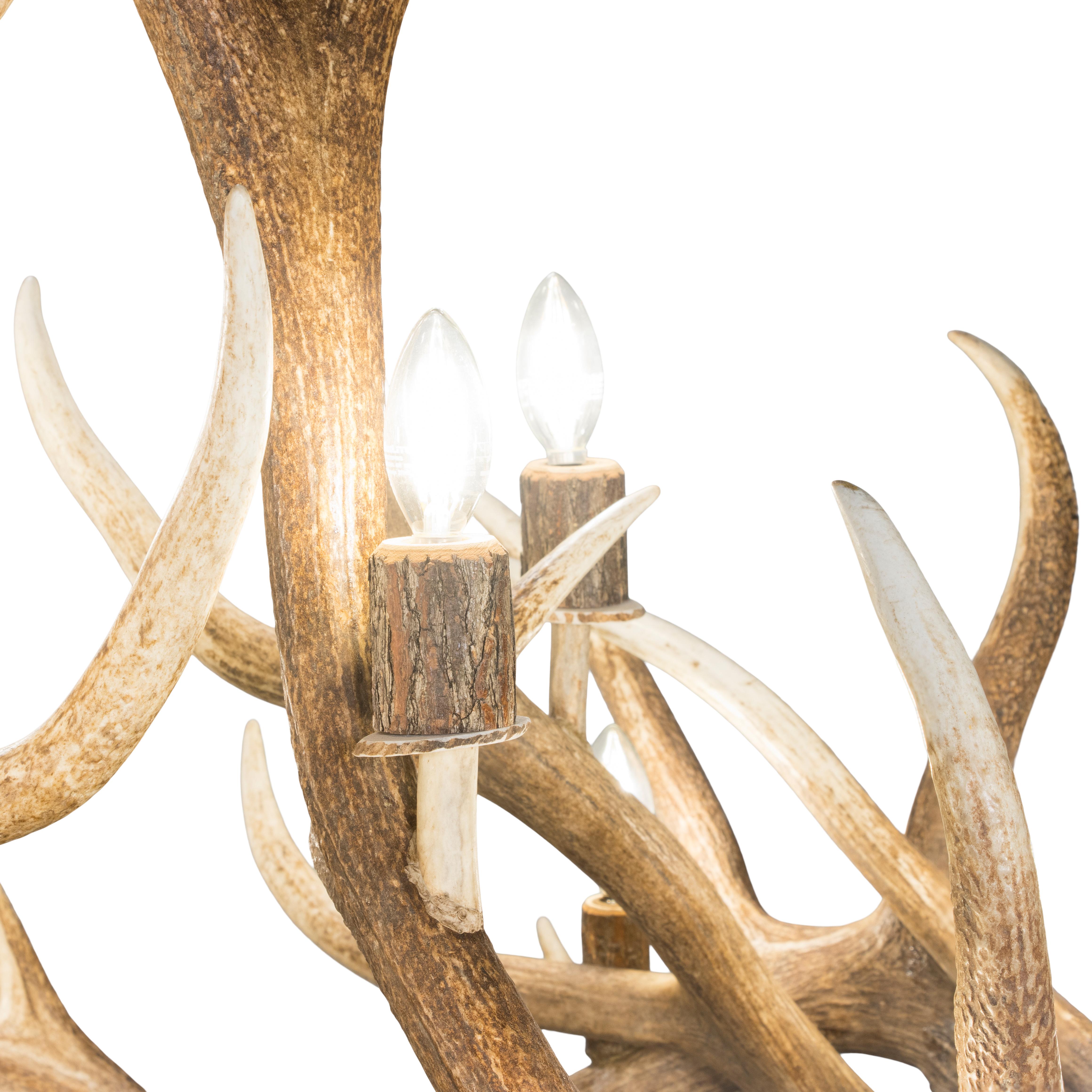 Stunning and visual 12 light cathedral elk chandelier. 48