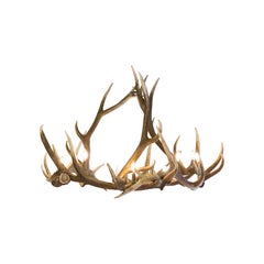 Cathedral Elk Antler Chandelier