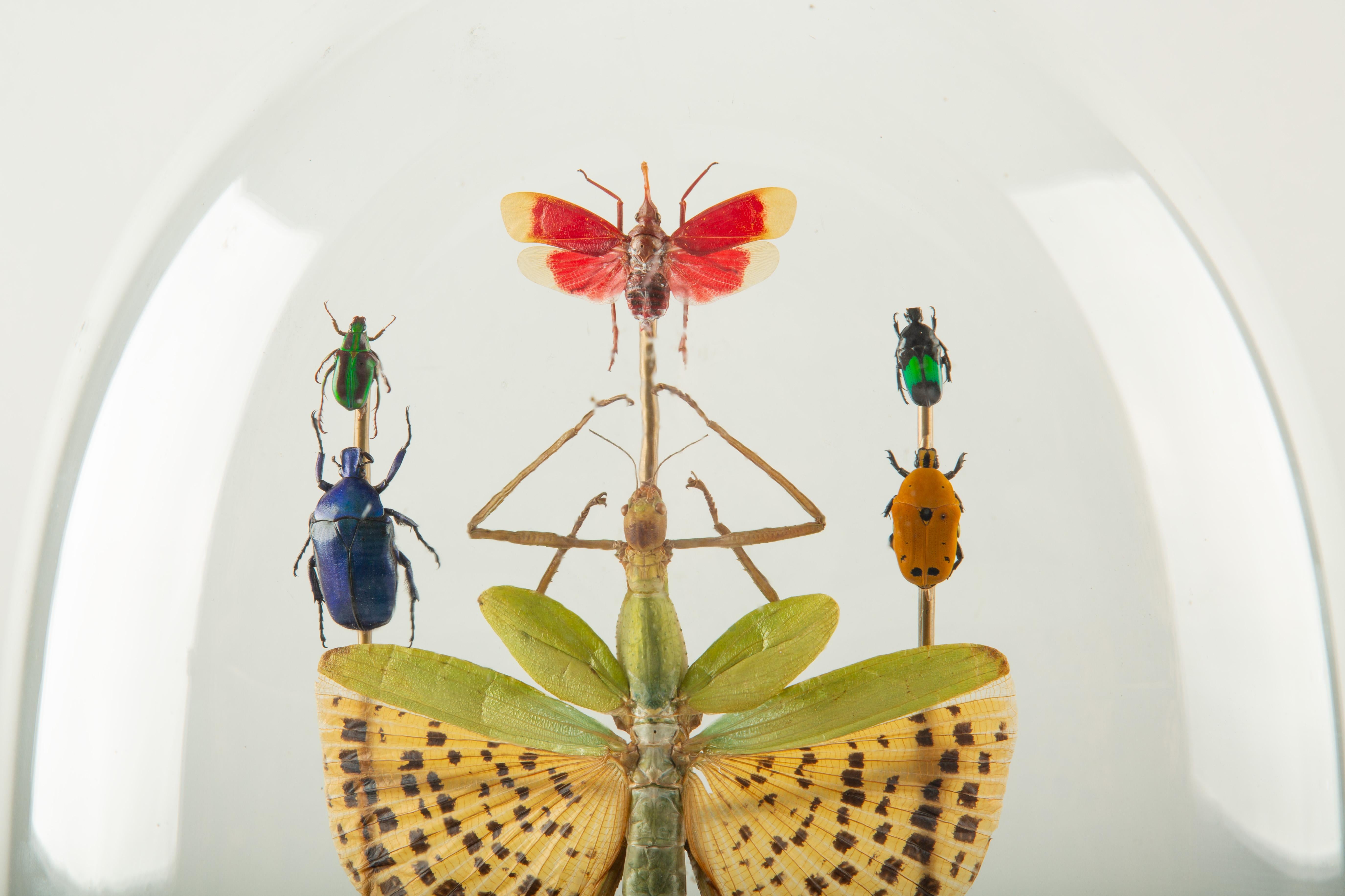 Cathedral of Color: Tetris by Hasharat In condizioni Nuovo in vendita a New York, NY