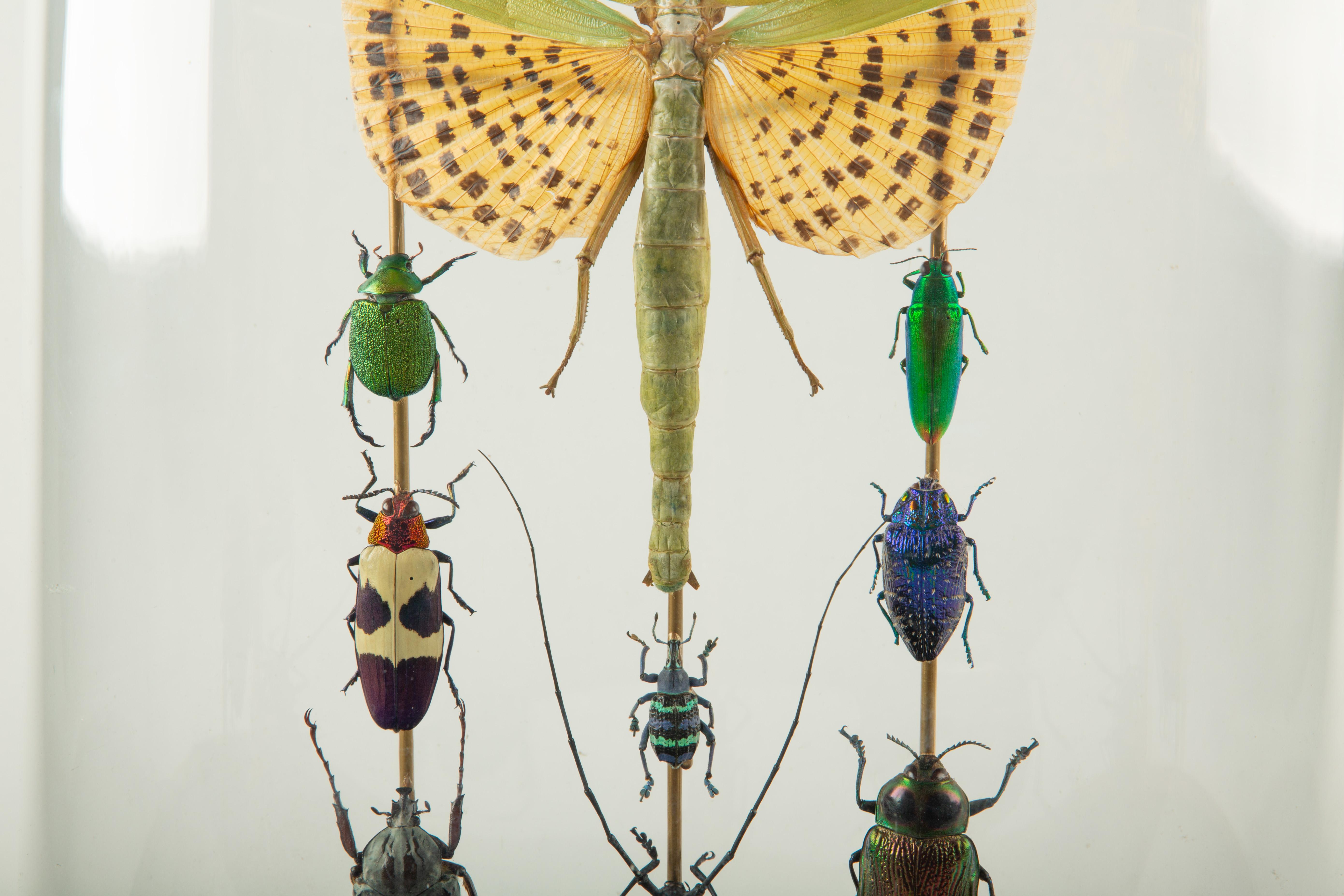 XXI secolo e contemporaneo Cathedral of Color: Tetris by Hasharat in vendita