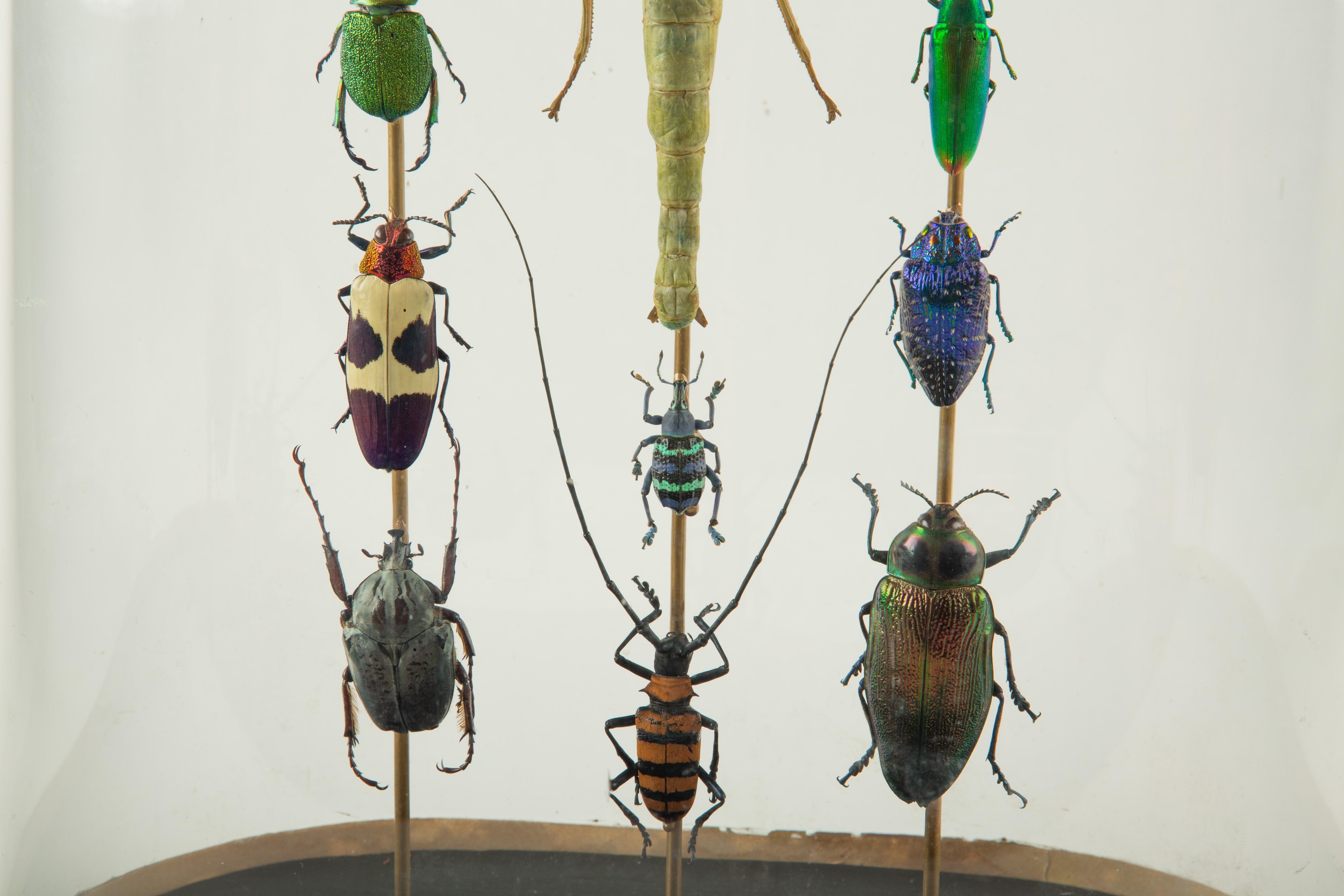 Vetro Cathedral of Color: Tetris by Hasharat in vendita