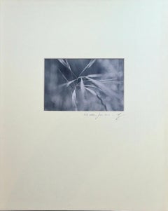 The Ear of Corn Photorealist Photograph on Paper, 21st Century