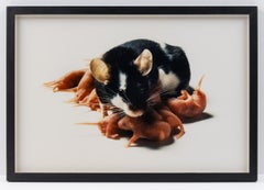 Nursing (from the series, "Pinkies, " 1995-9)