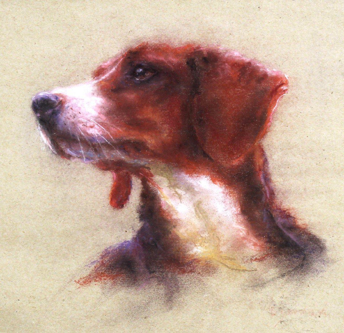 Hunting Dog Portrait Pastel On Paper By Catherine Dammeron For Sale 1