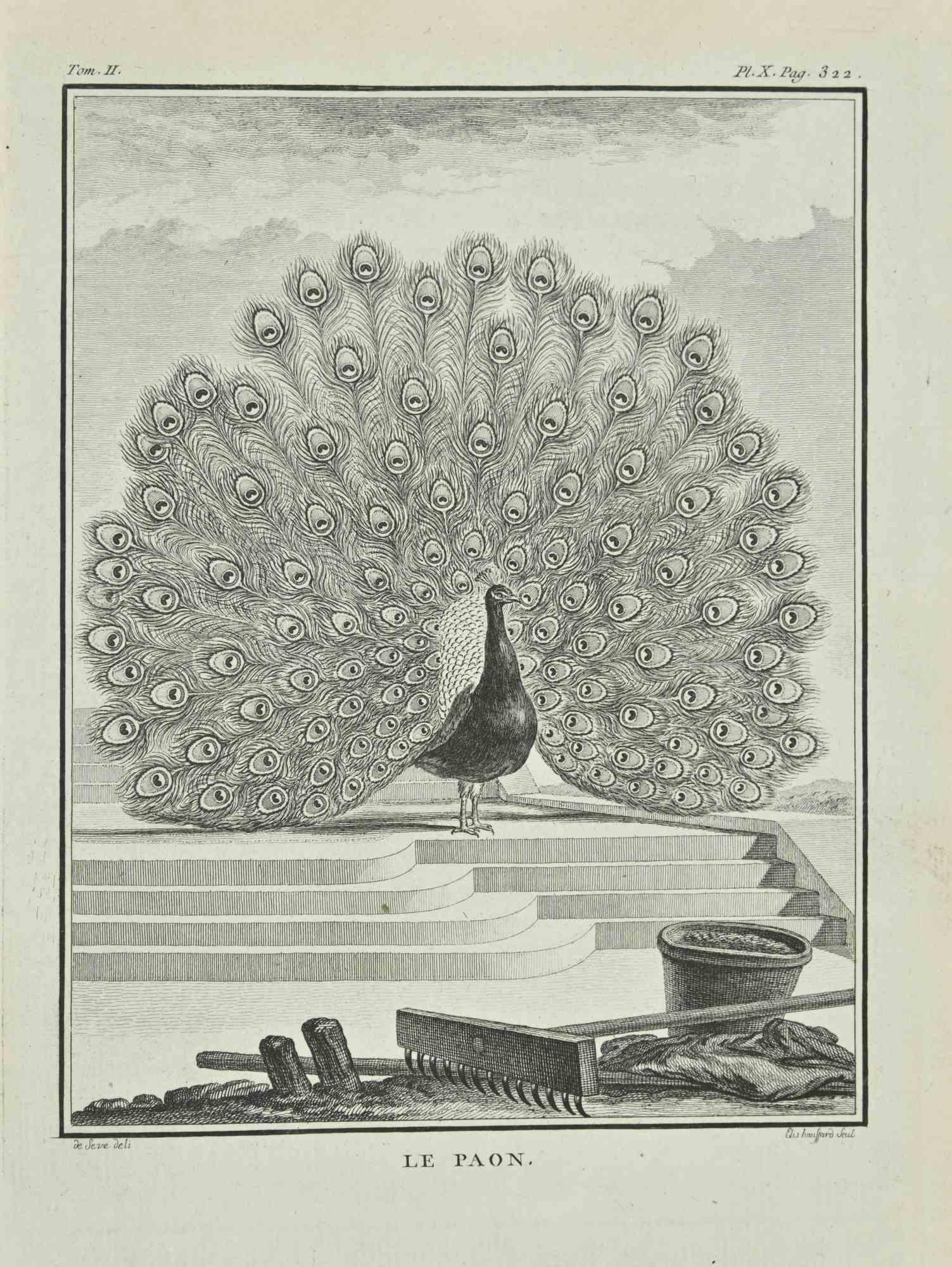 Le Paon is an etching realized by Haussard in 1771.

Signed in plate.

The artwork Belongs to the suite "Histoire naturelle, générale et particulière avec la description du Cabinet du Roi". Paris: Imprimerie Royale, 1749-1771. 

 