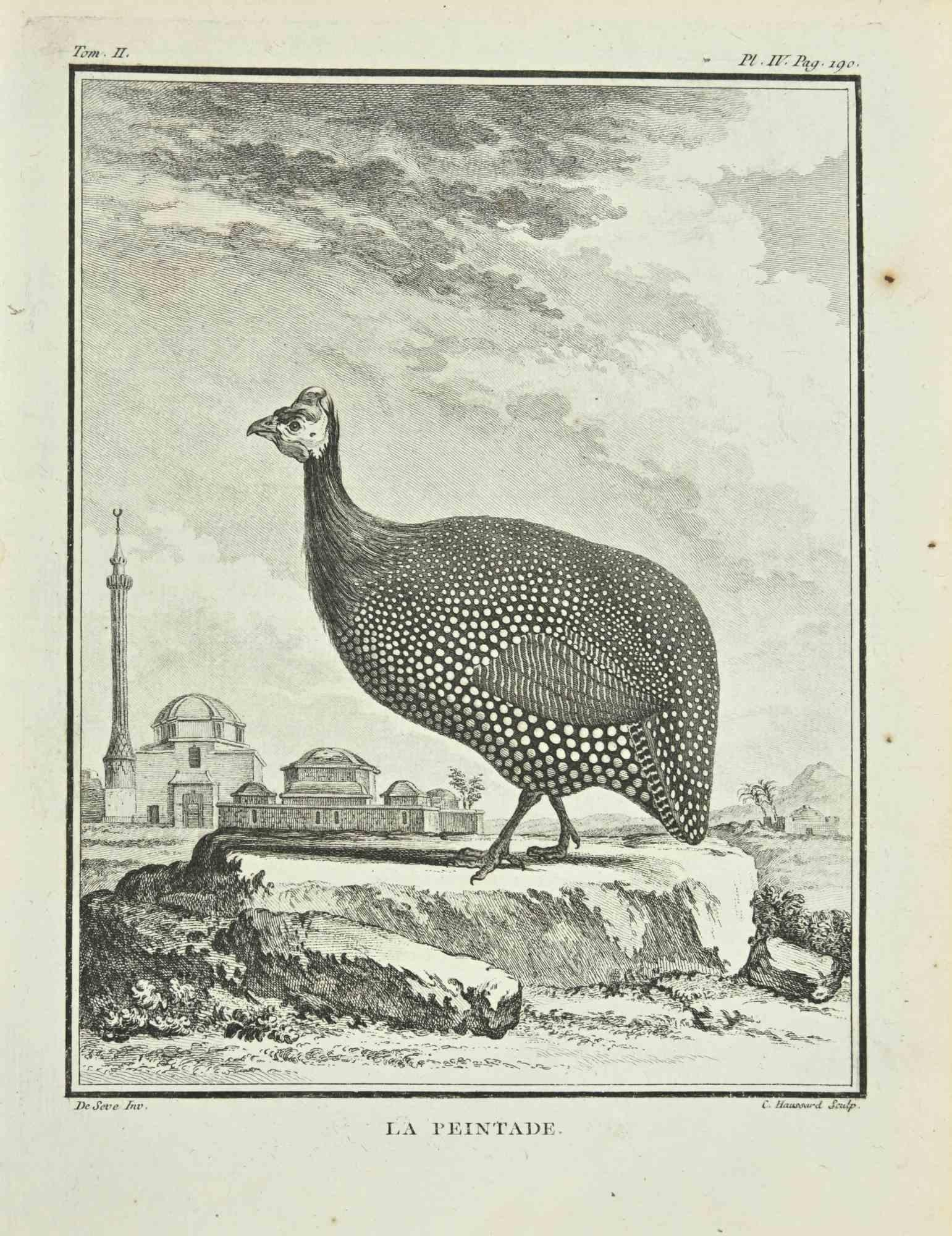 Le Peintade - Etching by Catherine Haussard - 1771