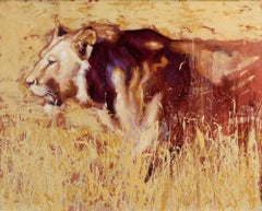 Sunglare - original lion oil painting Contemporary wildlife Art 21st Century