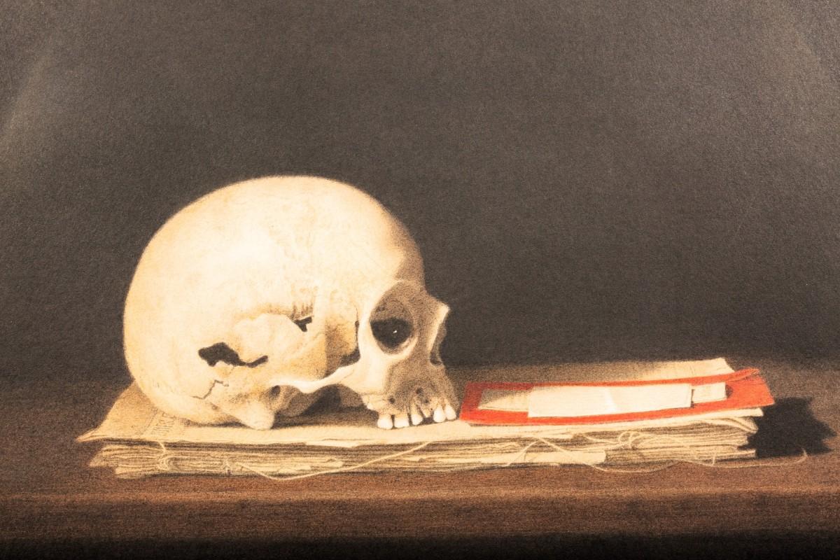 Vanitas de Catherine Jansens (Nacida en 1949) en venta 4