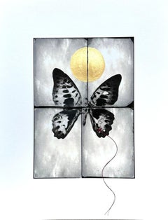Papillon à l'aile réparée #1