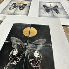 Butterfly with Mended Wing #2