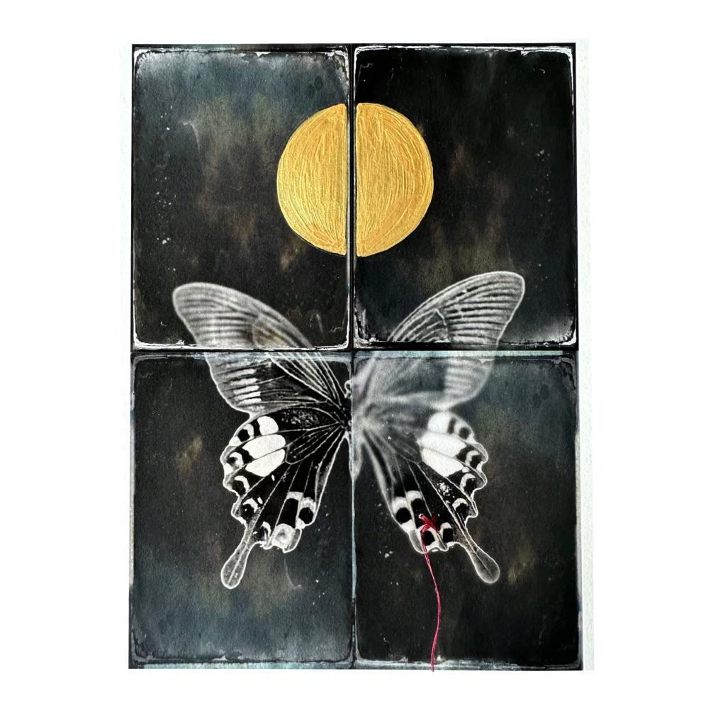 Butterfly with Mended Wing #2 - Mixed Media Art by Catherine Just