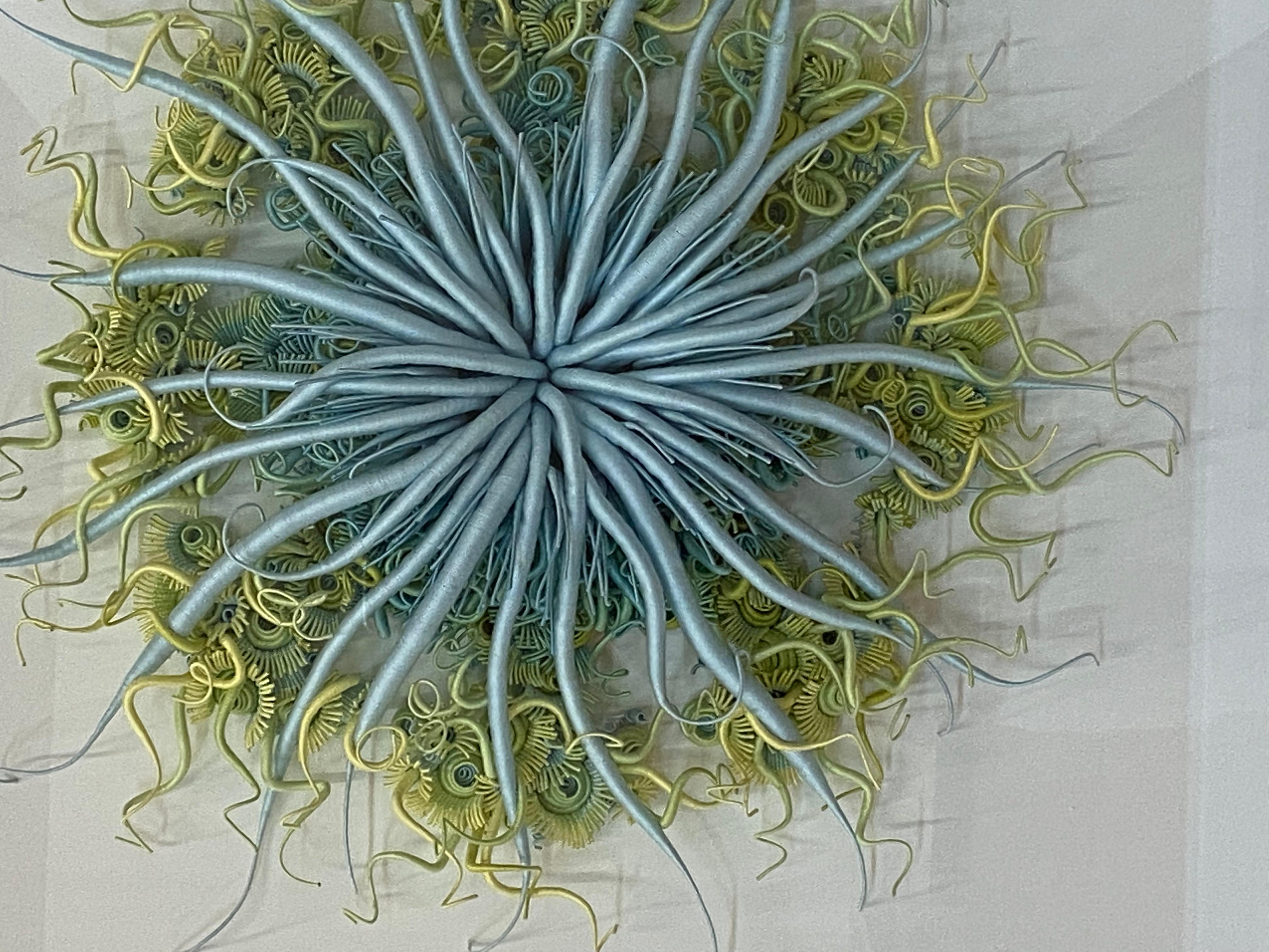 Specimen 18, Sculpture encadrée en fibre teintée à la main bleu vert inspirée de la nature marine en vente 9