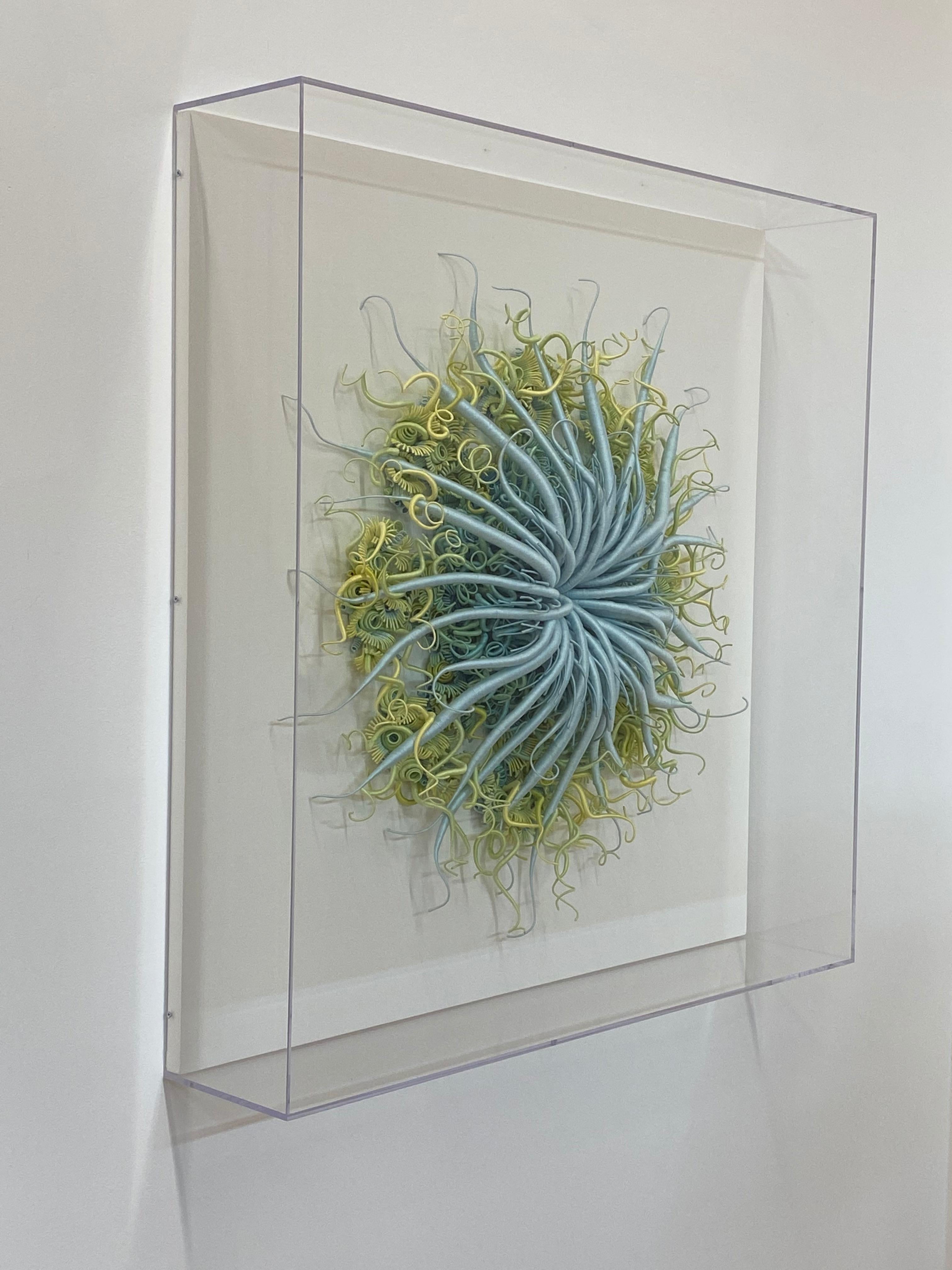 Specimen 18, Sculpture encadrée en fibre teintée à la main bleu vert inspirée de la nature marine en vente 14
