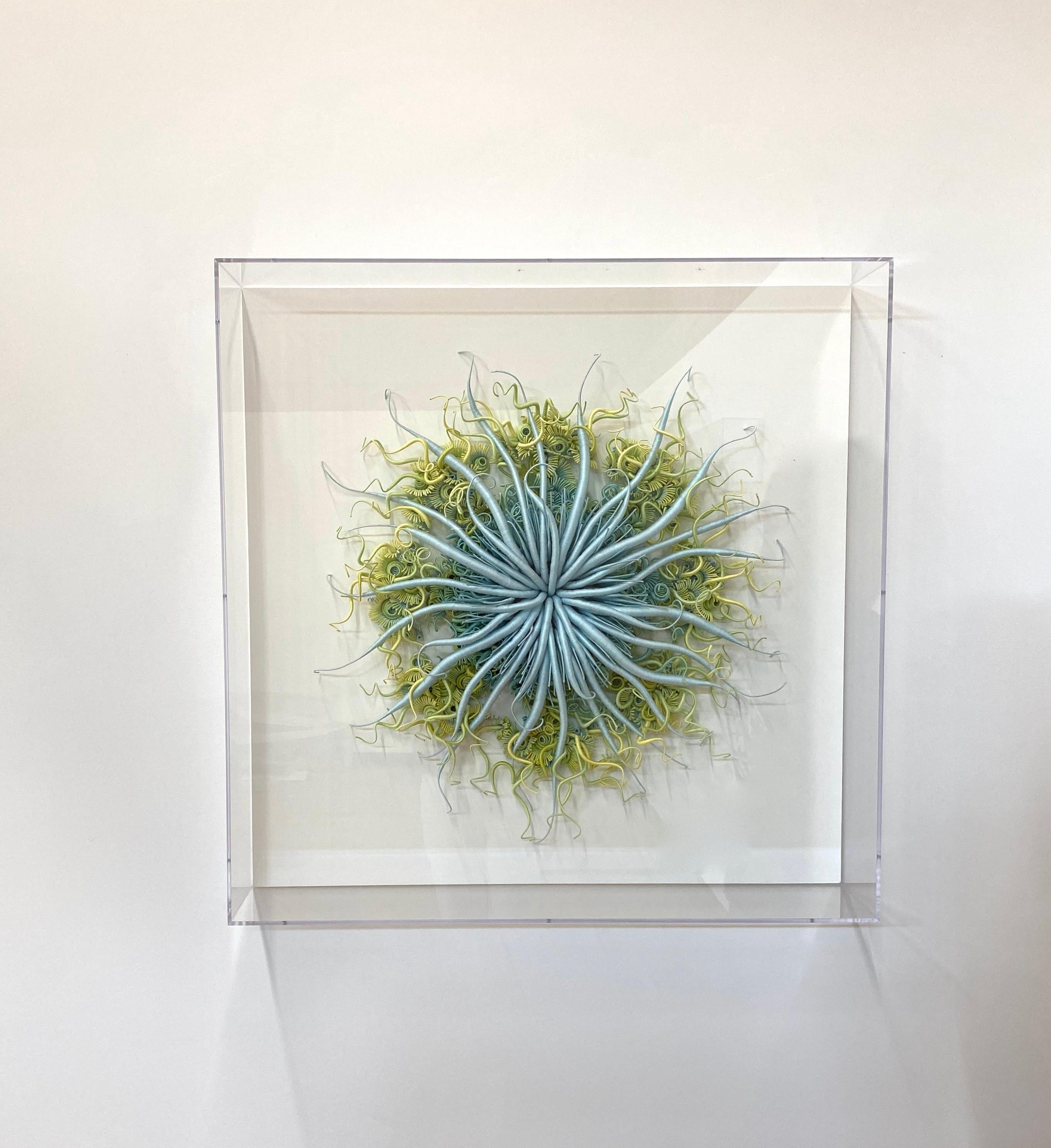 Encadré dans une boîte d'ombre en acrylique transparent protégé des UV, Specimen 18 de Catherine Latson se lit comme une représentation artistique d'un magnifique spécimen marin. Un fil de coton teint à la main d'un bleu clair lumineux est enroulé