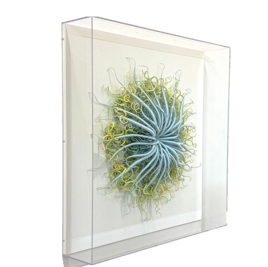 Framed in a clear UV-protected acrylic shadowbox, Catherine Latson's Specimen 18 reads as an artistic rendition of a beautiful sea specimen. Luminous light blue hand-dyed cotton thread is wrapped around tendrils that stretch from a delicate cluster