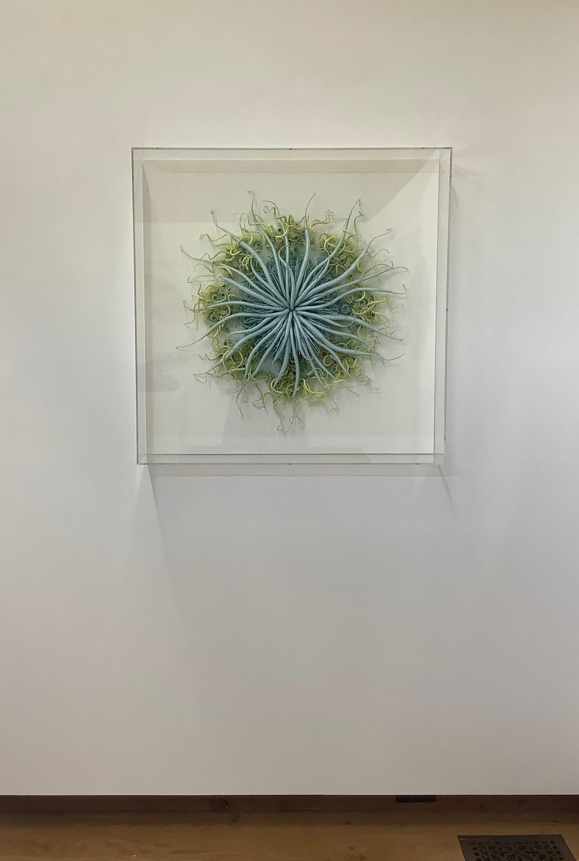Specimen 18, Sculpture encadrée en fibre teintée à la main bleu vert inspirée de la nature marine en vente 2
