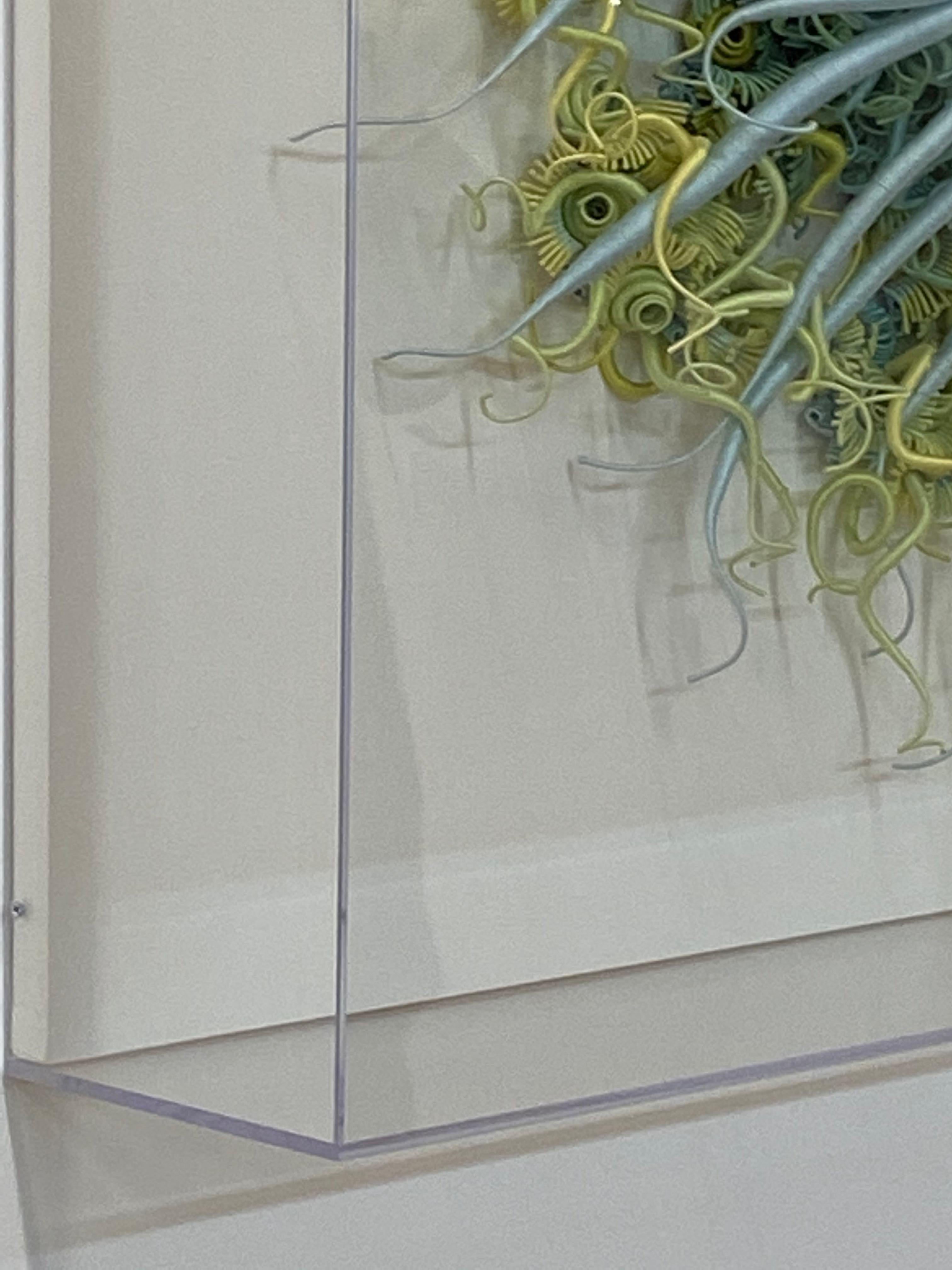 Specimen 18, Sculpture encadrée en fibre teintée à la main bleu vert inspirée de la nature marine en vente 5