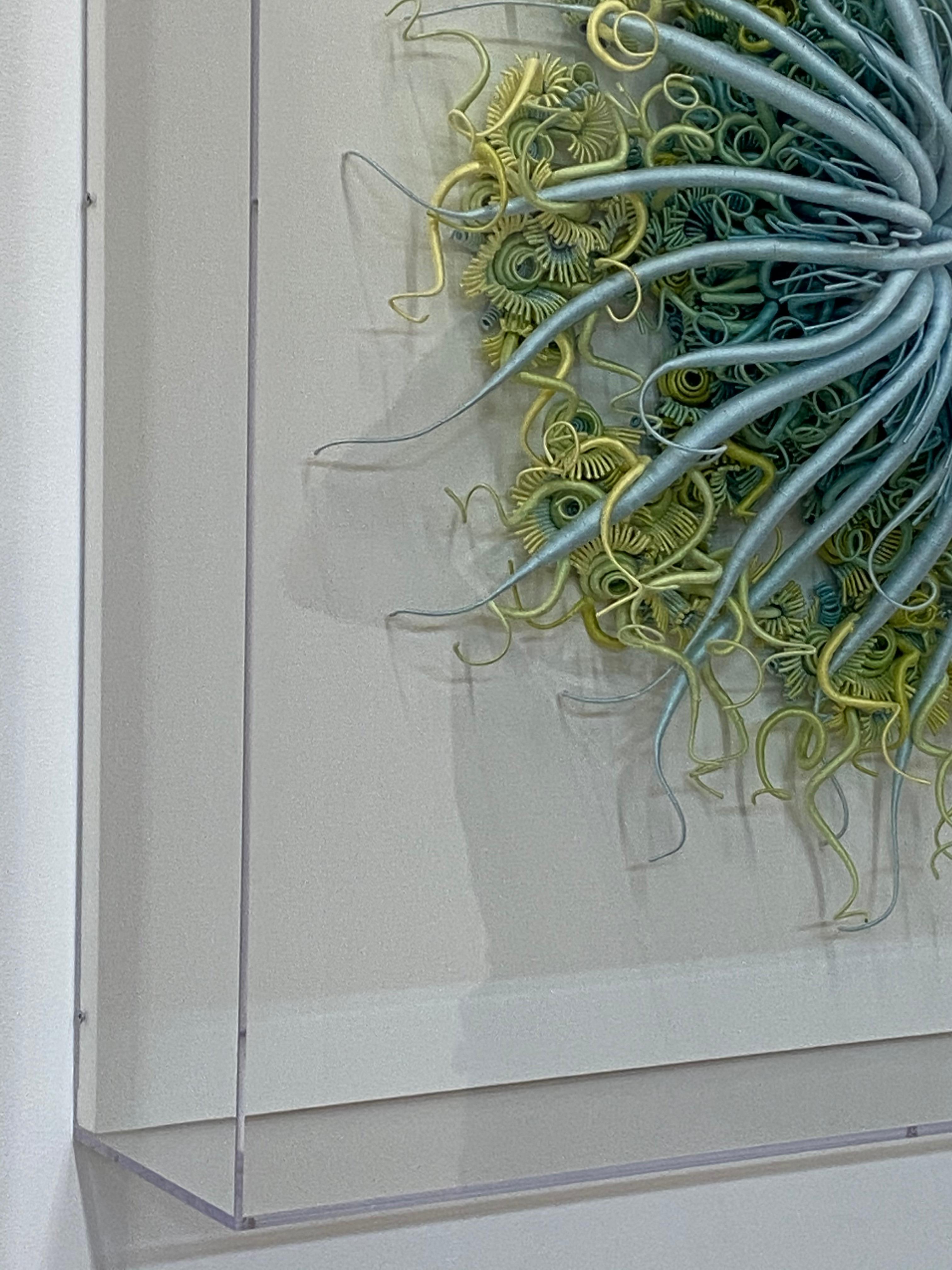 Specimen 18, Sculpture encadrée en fibre teintée à la main bleu vert inspirée de la nature marine en vente 6