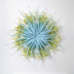 Specimen 18, Sculpture encadrée en fibre teintée à la main bleu vert inspirée de la nature marine