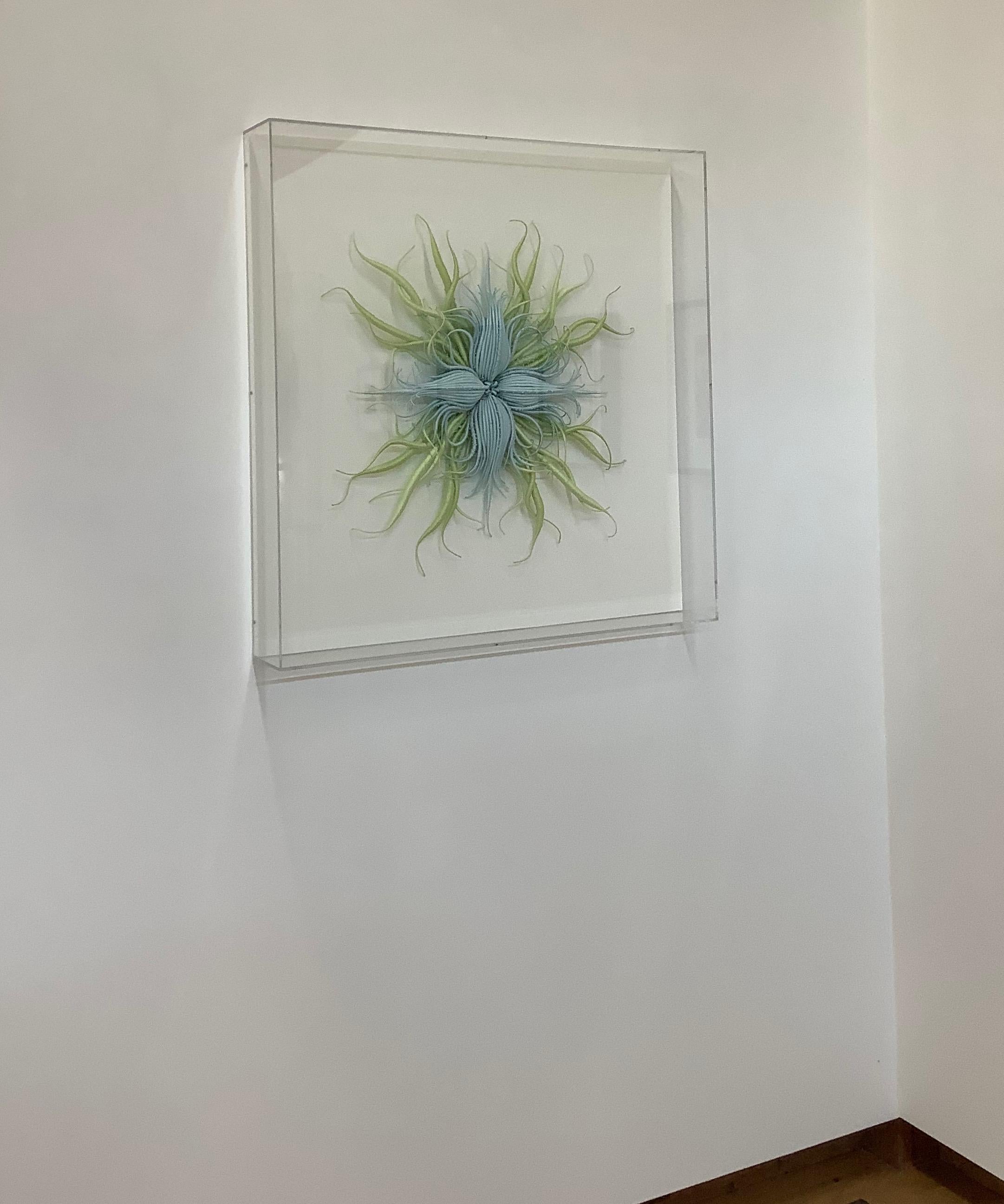 Specimen 20, gerahmte, von der Natur inspirierte blau-grüne handgefärbte Faserskulptur (Grau), Abstract Sculpture, von Catherine Latson