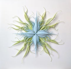 Specimen 20, scultura in fibra con cornice ispirata alla natura marina, di colore blu e verde, tinta a mano