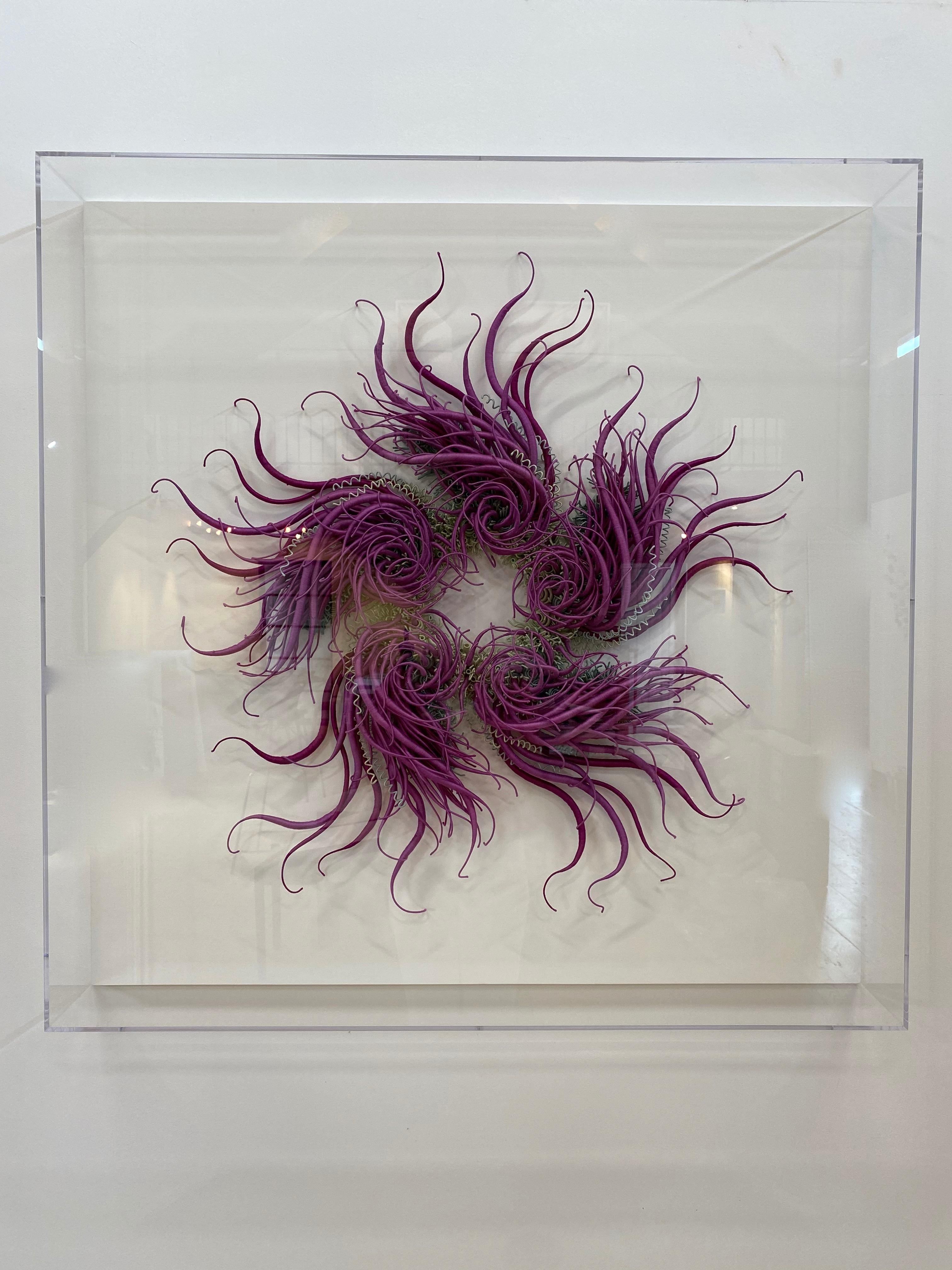 This contemporary wall mounted fiber sculpture, Catherine Latson's Specimen 21 reads as an artistic rendition of a beautiful sea specimen. Rich, jewel-toned purple hand-dyed cotton thread is wrapped around tendrils that stretch from a delicate