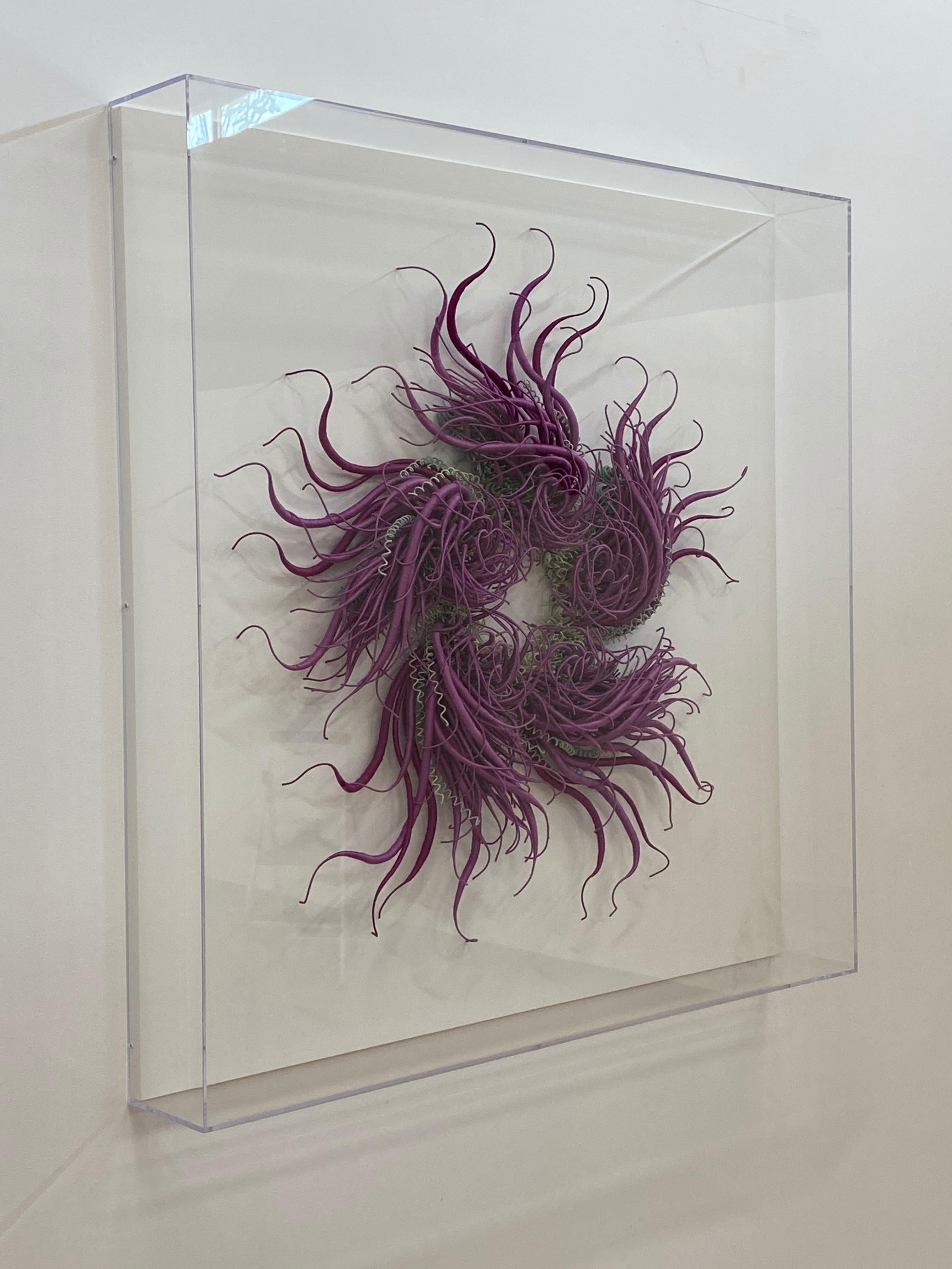 Specimen 21, Sculpture encadrée en fibre violette teintée à la main inspirée de la nature marine en vente 7